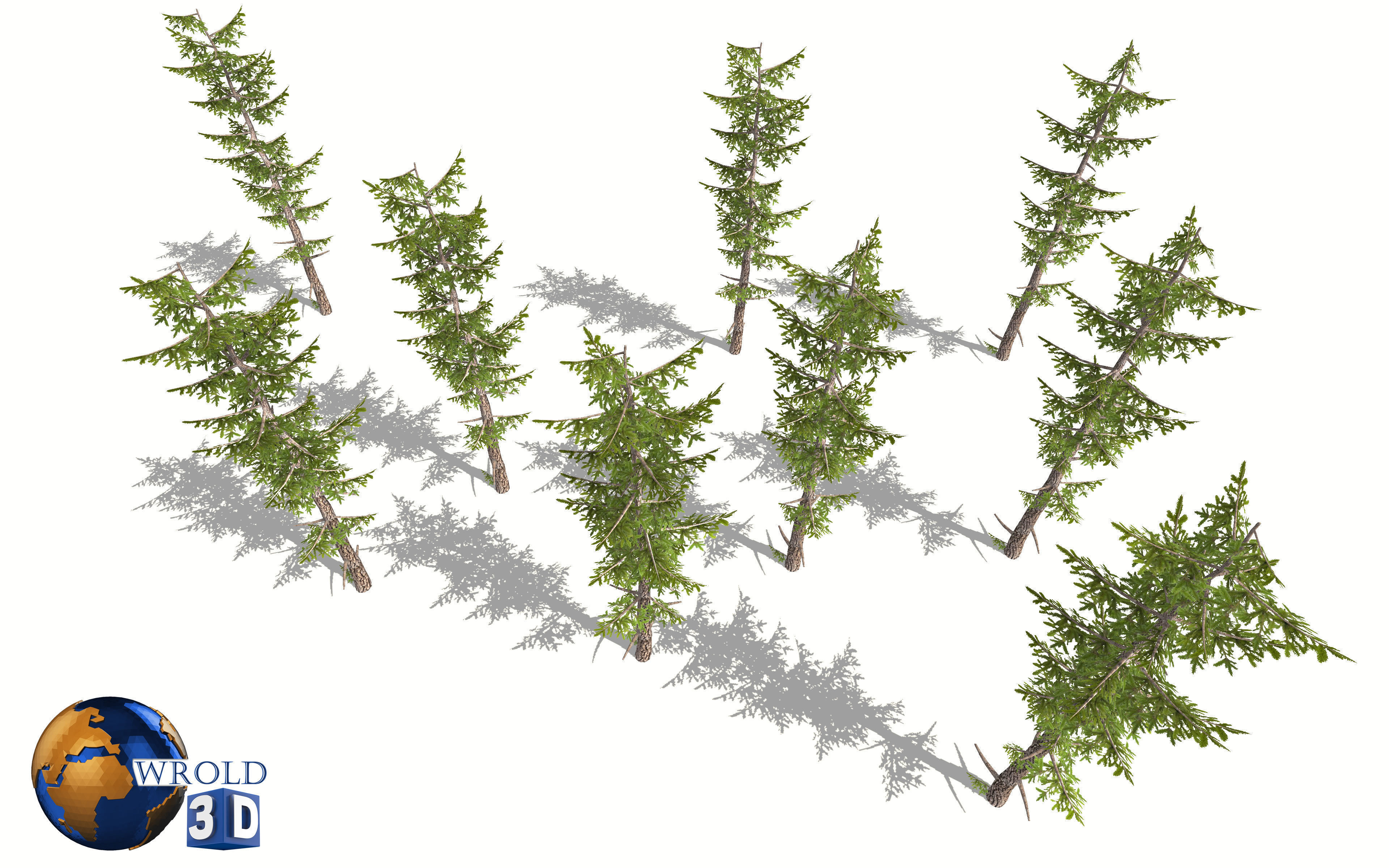 Lowpoly Forest Pine Tree 3D Model Low-poly 3D model_5
