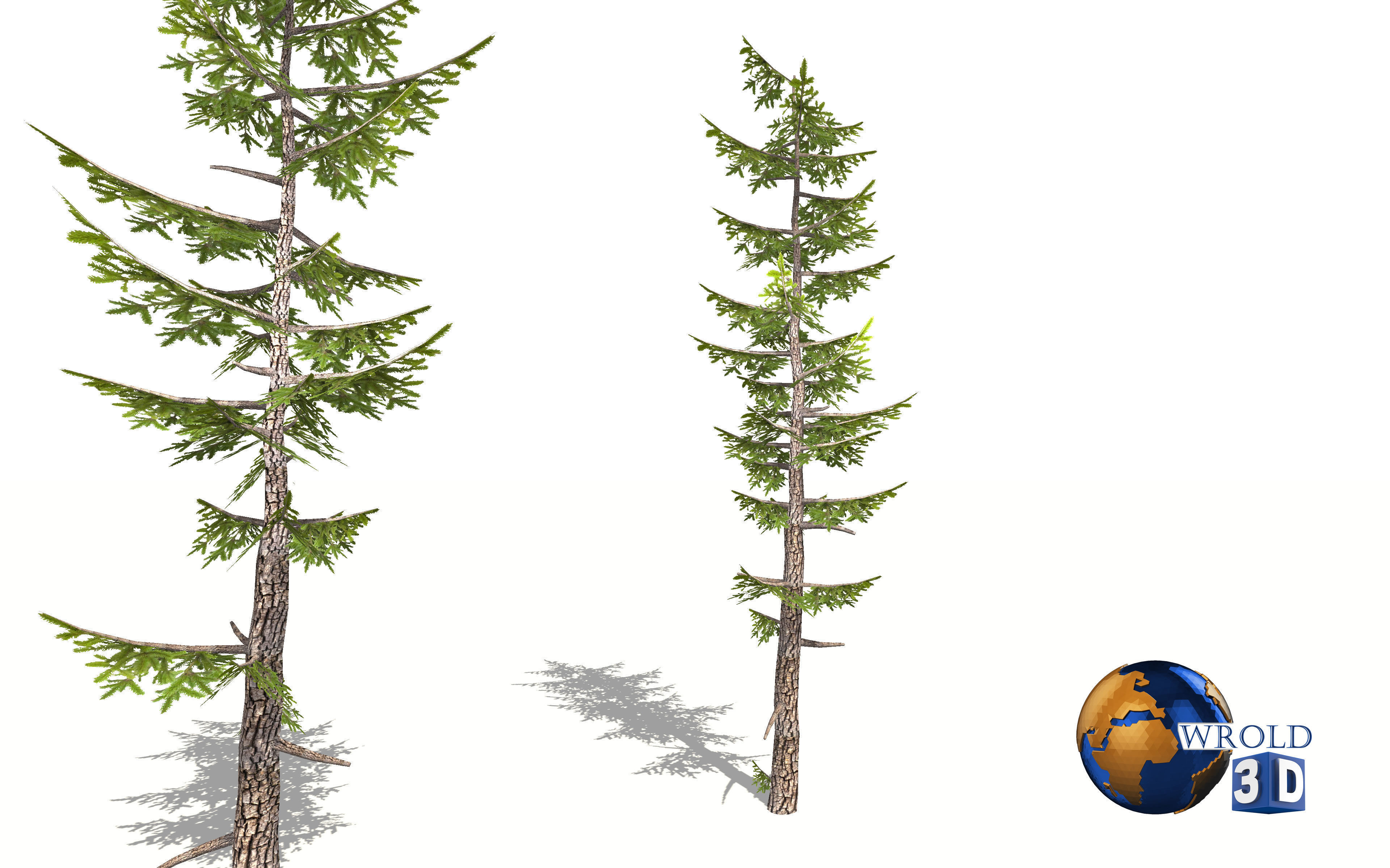 Lowpoly Forest Pine Tree 3D Model Low-poly 3D model_1