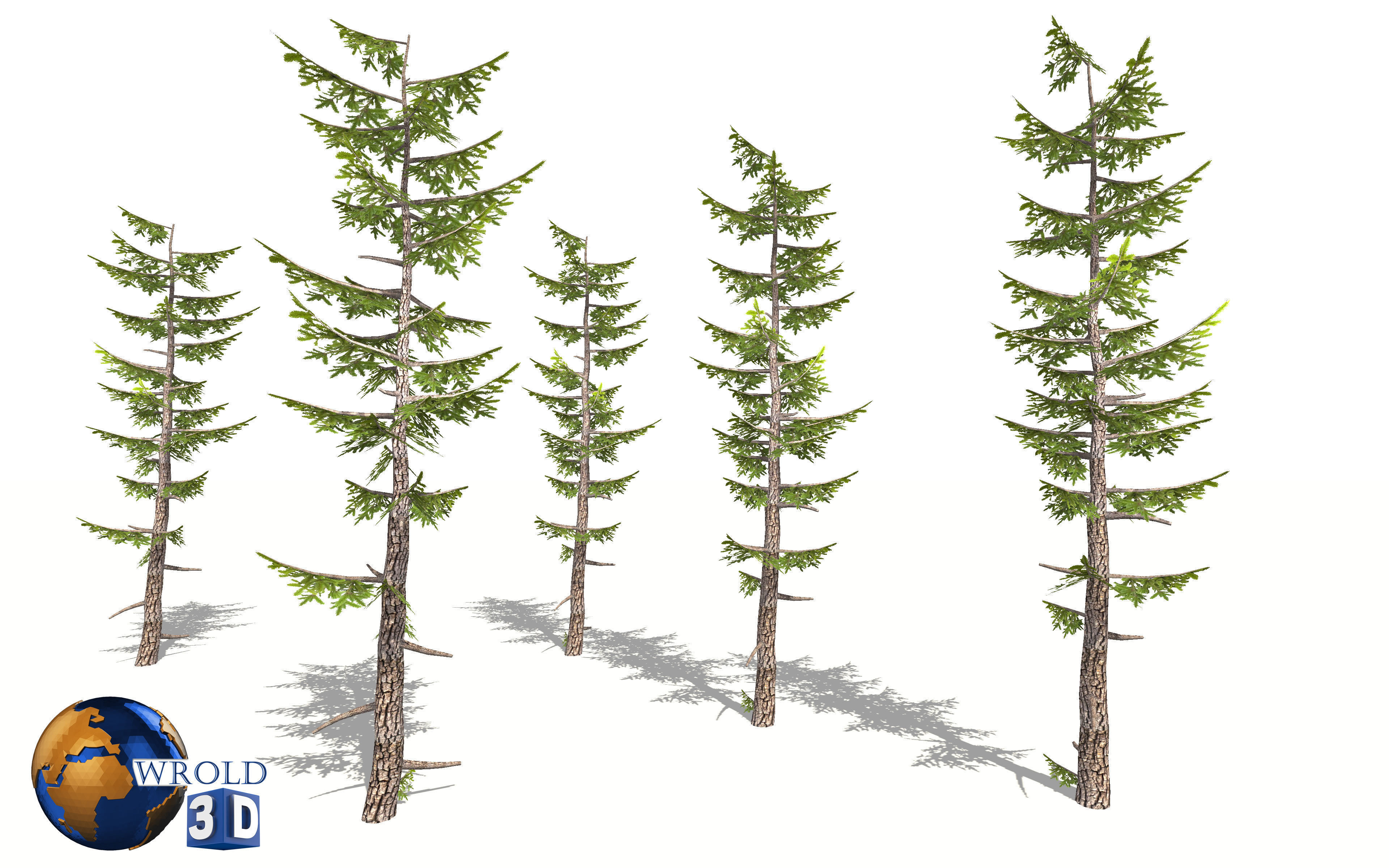 Lowpoly Forest Pine Tree 3D Model Low-poly 3D model_2