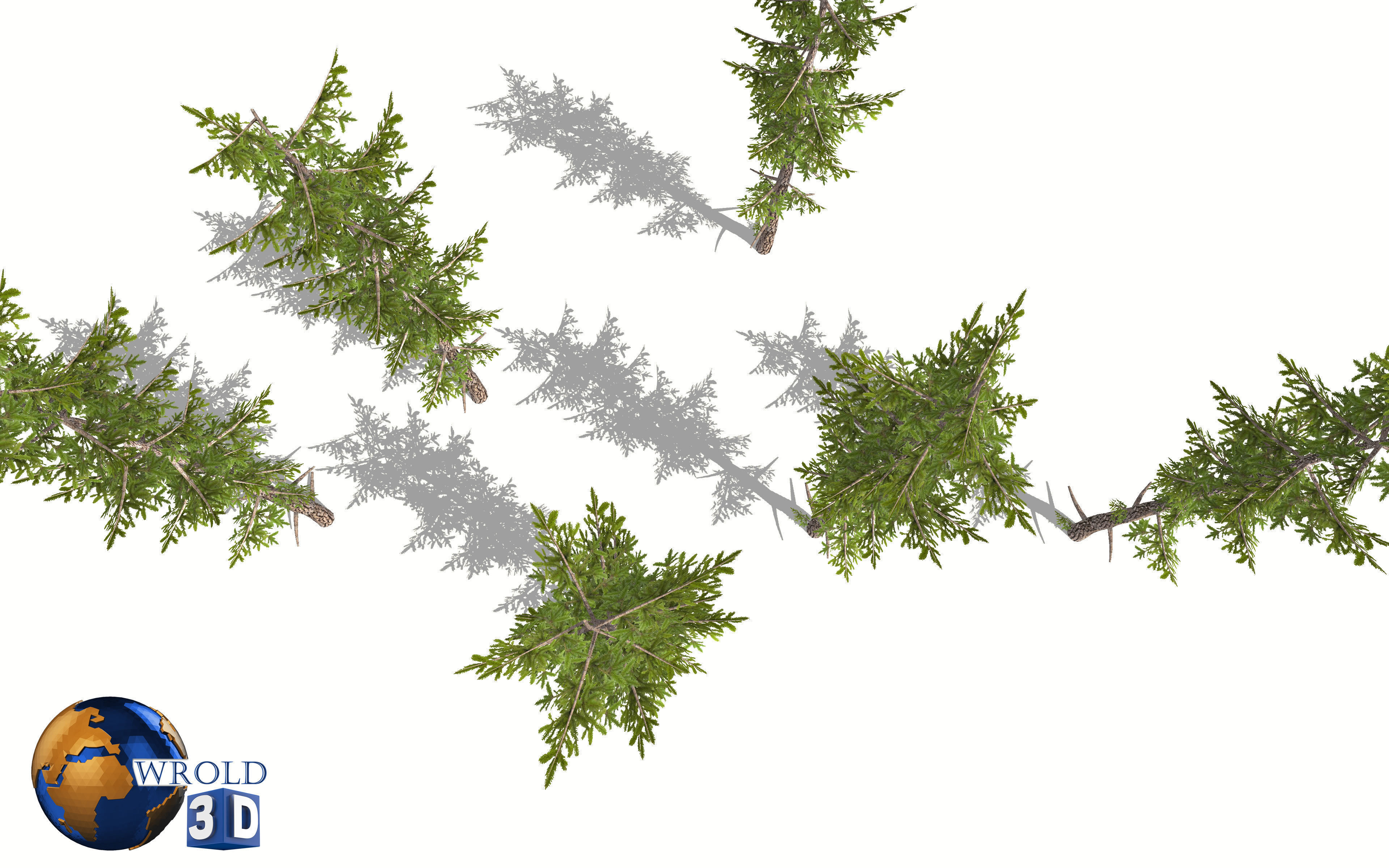 Lowpoly Forest Pine Tree 3D Model Low-poly 3D model_4