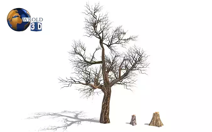 lowpoly dead tree 3d model Low-poly 3D model