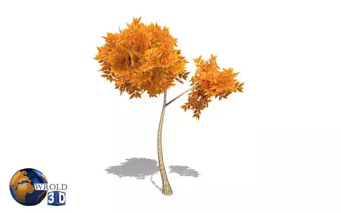 autumn tree lowpoly 3d model  Low-poly 3D model