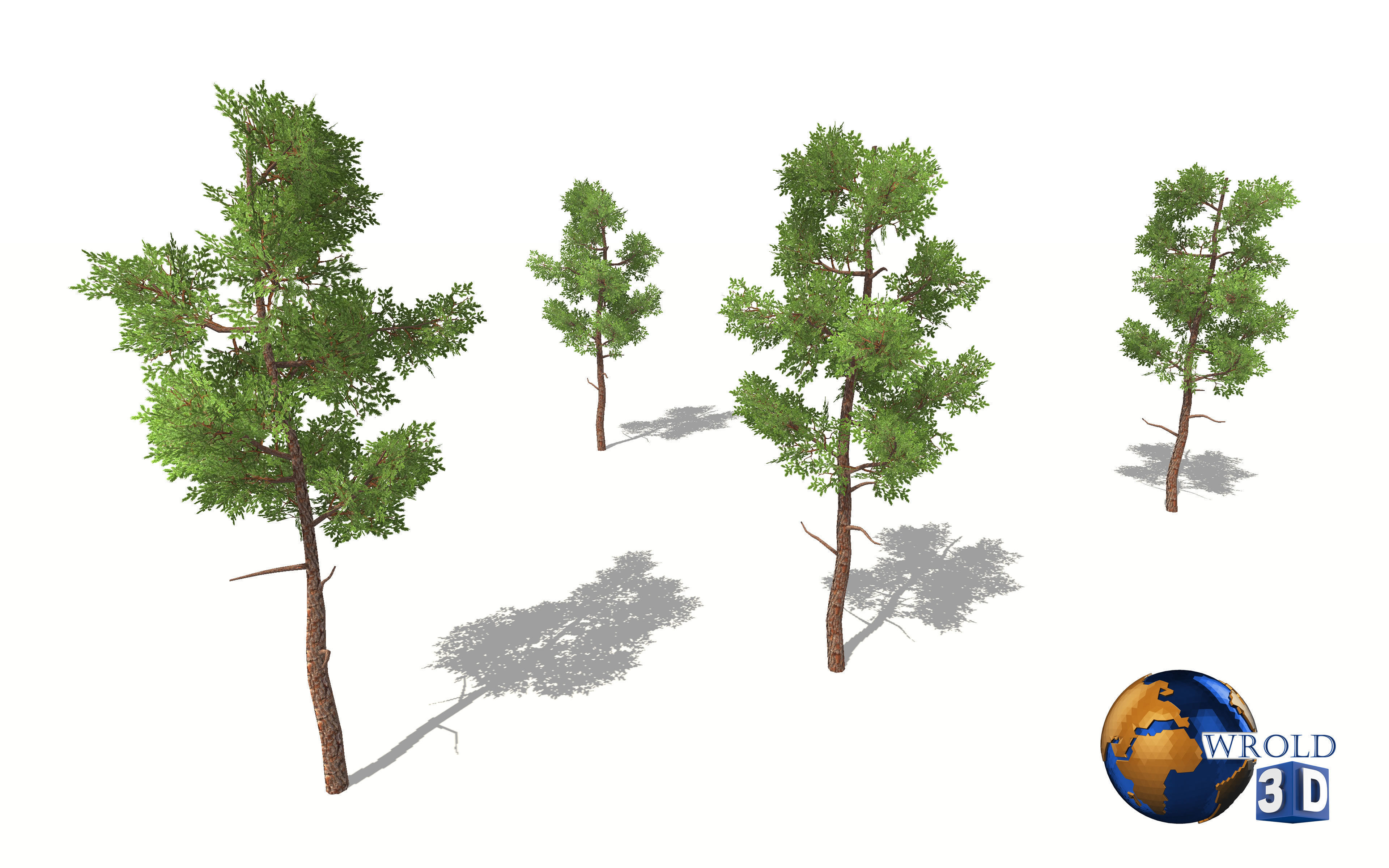 lowpoly small forest tree 3d model Low-poly 3D model_2