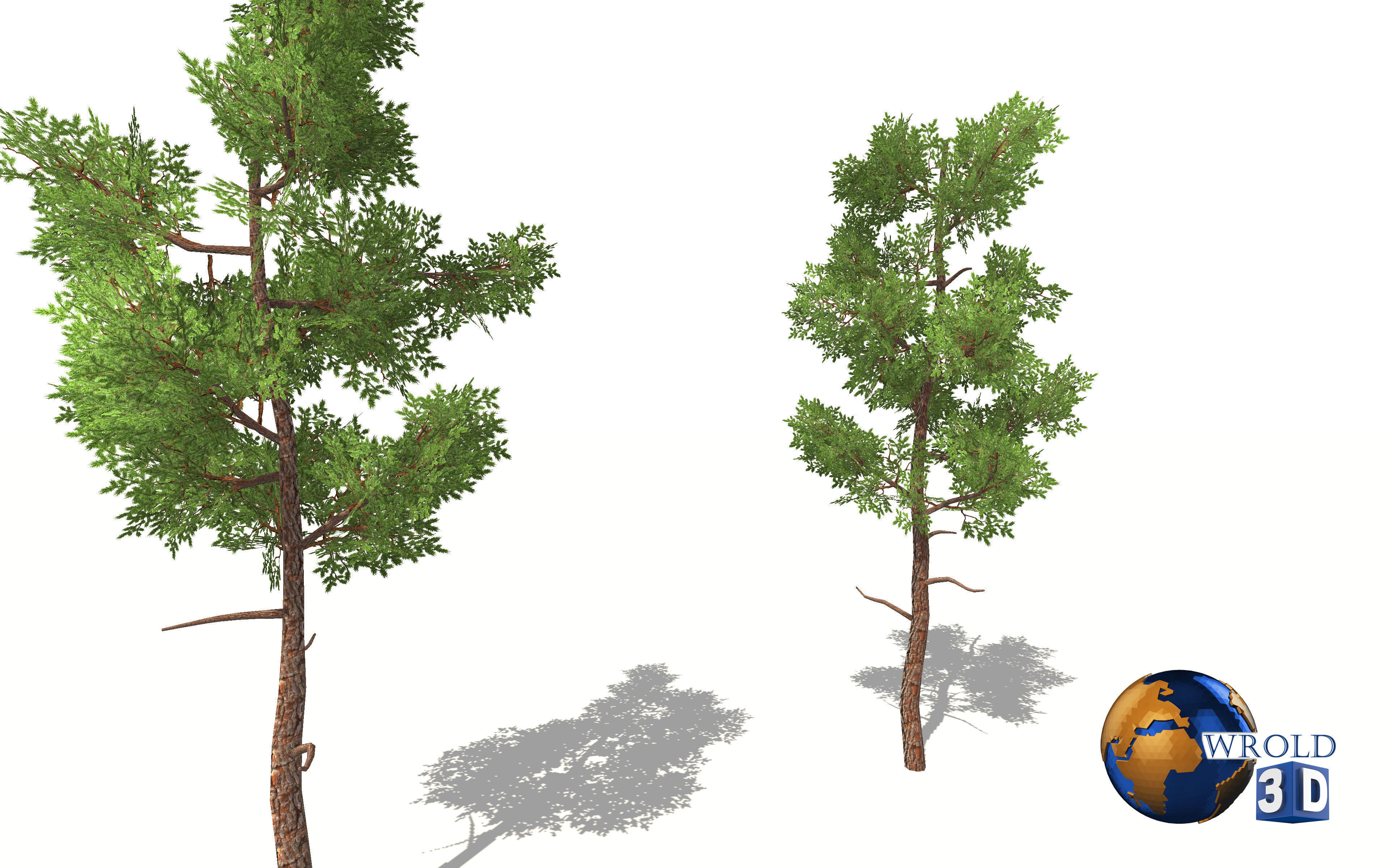 lowpoly small forest tree 3d model Low-poly 3D model_1