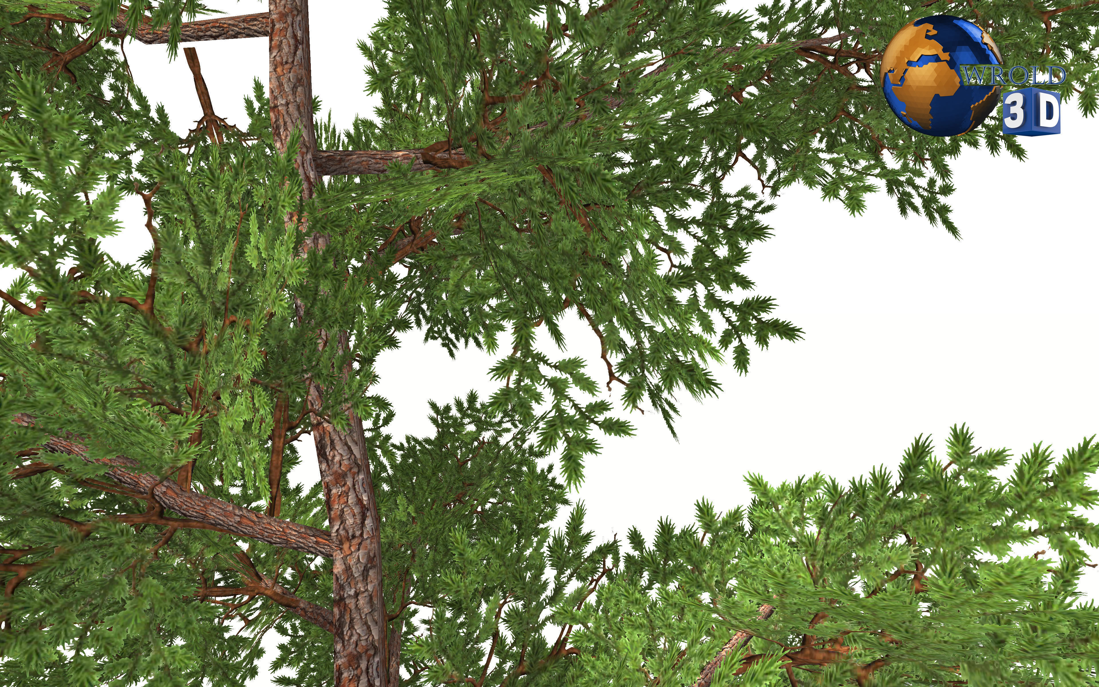 lowpoly small forest tree 3d model Low-poly 3D model_4