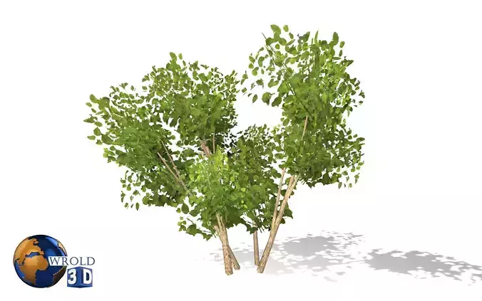 lowpoly tree bush 3d model Low-poly 3D model