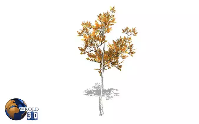 Small maple tree lowpoly 3d model Low-poly 3D model