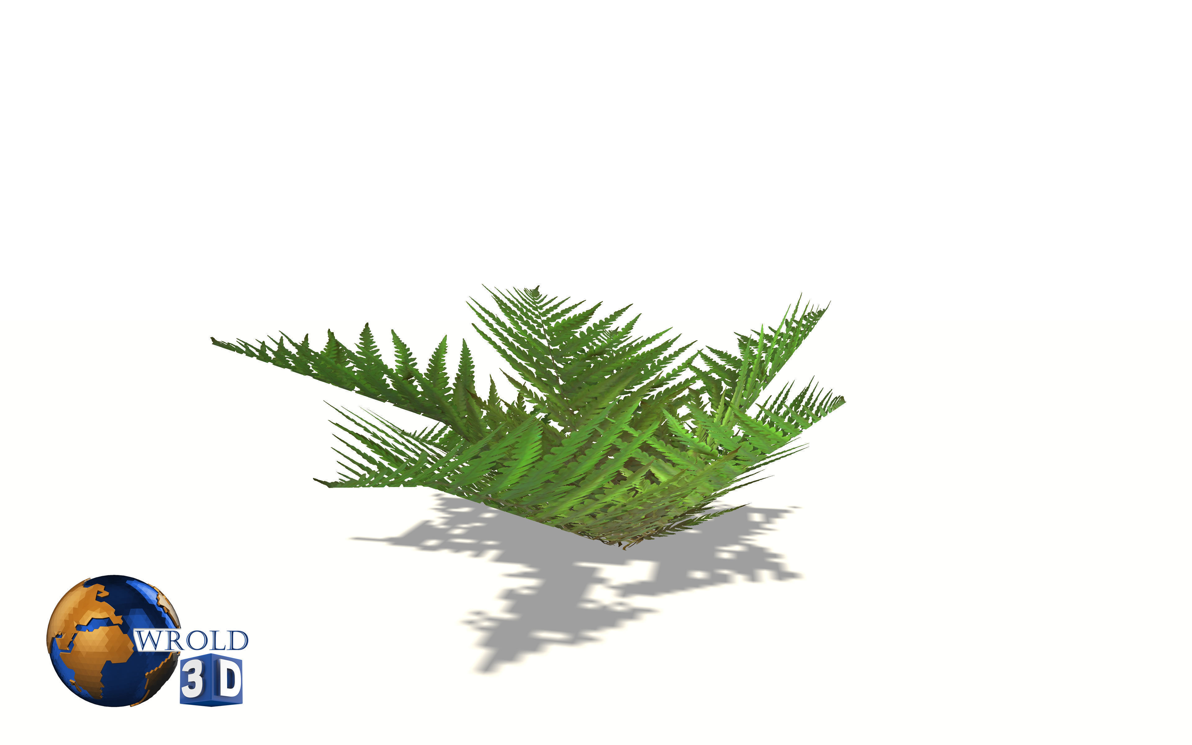 Natural Forest Pine Tree 3d model Low-poly 3D model_3