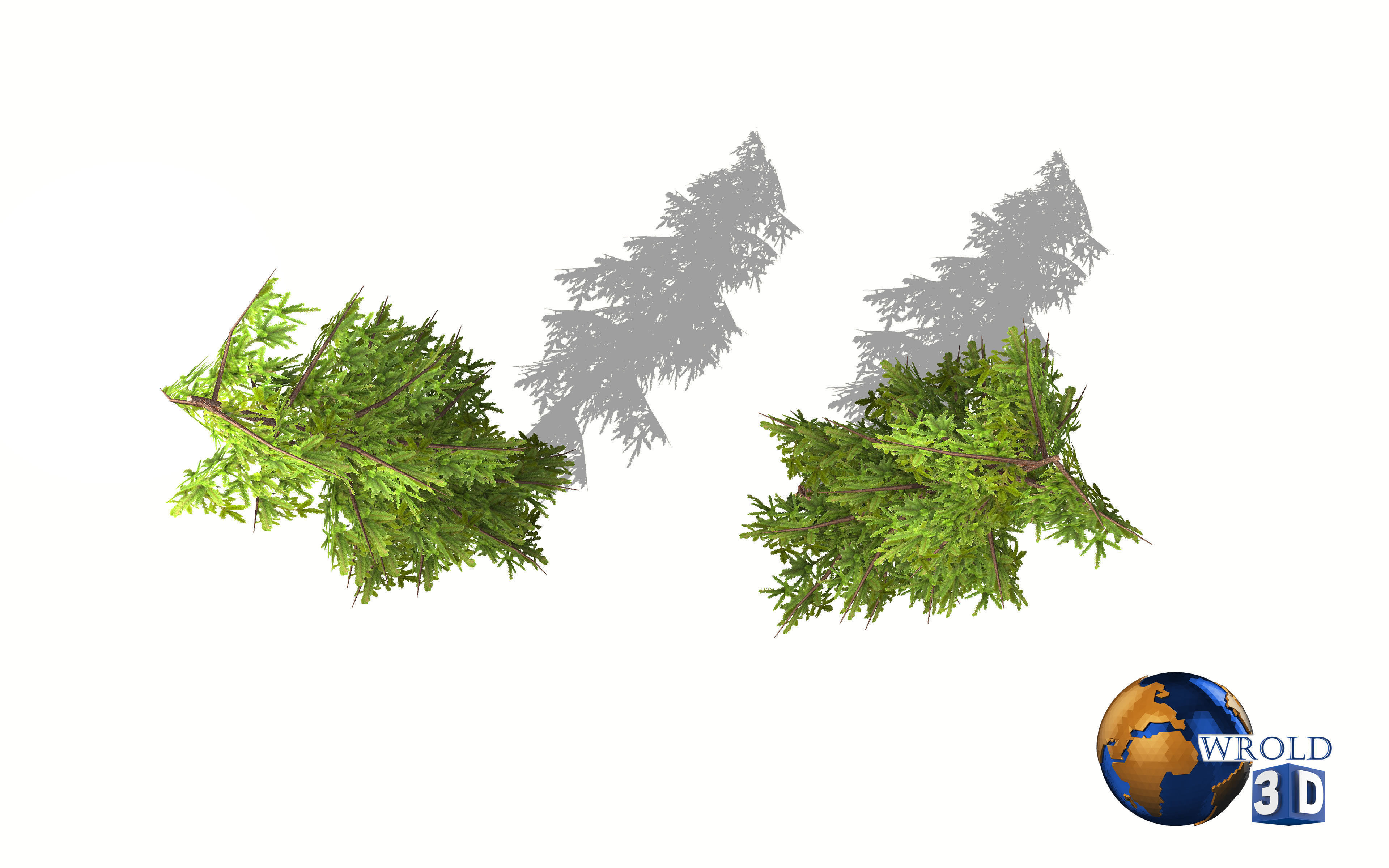 Natural Forest Pine Tree 3d model Low-poly 3D model_5