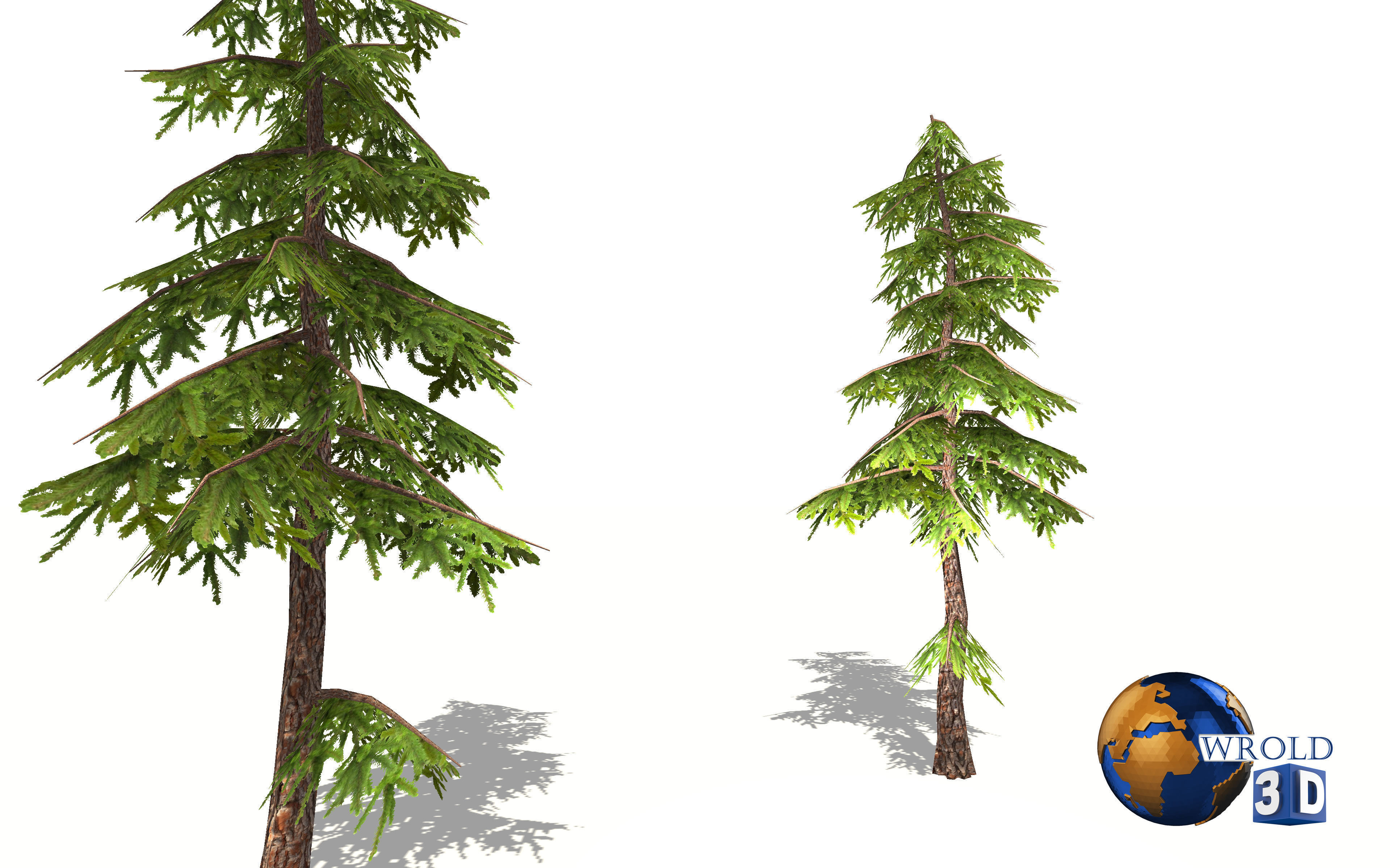 Natural Forest Pine Tree 3d model Low-poly 3D model_1