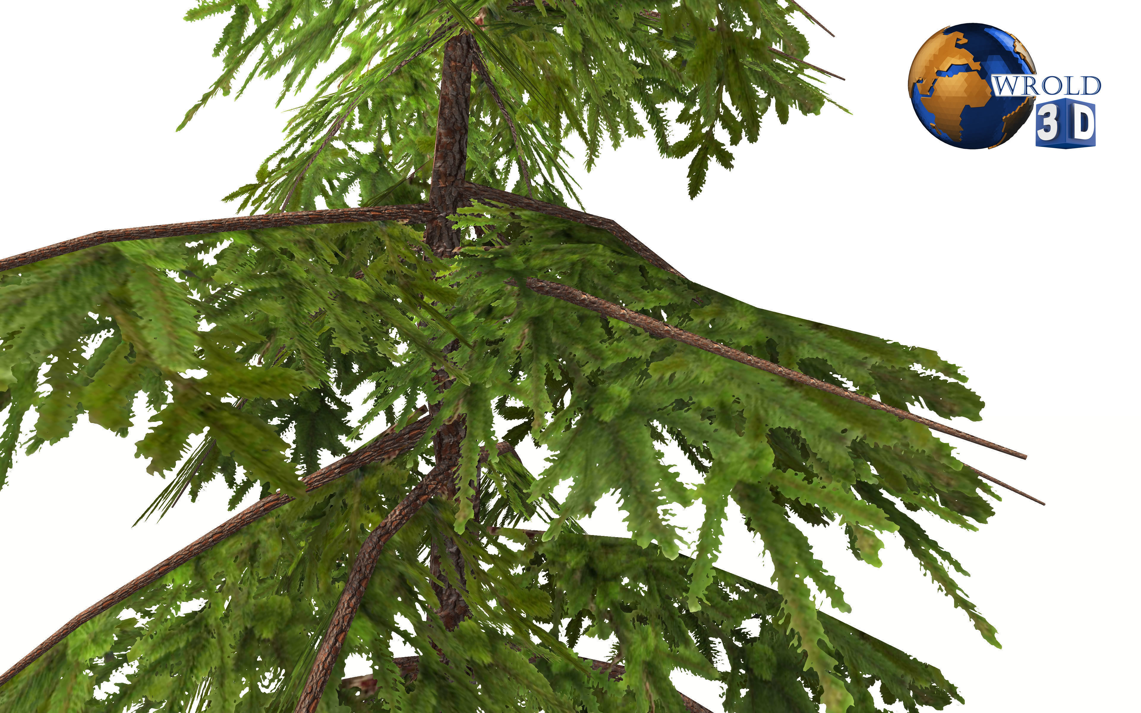 Natural Forest Pine Tree 3d model Low-poly 3D model_7