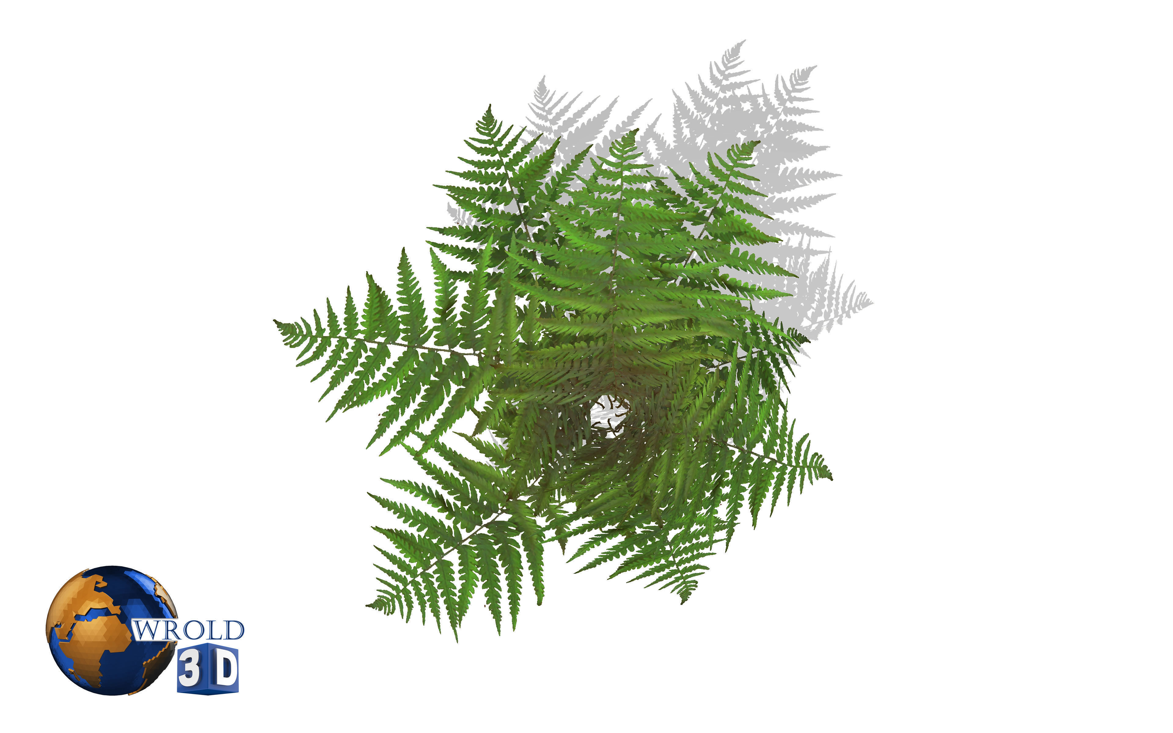 Natural Forest Pine Tree 3d model Low-poly 3D model_2