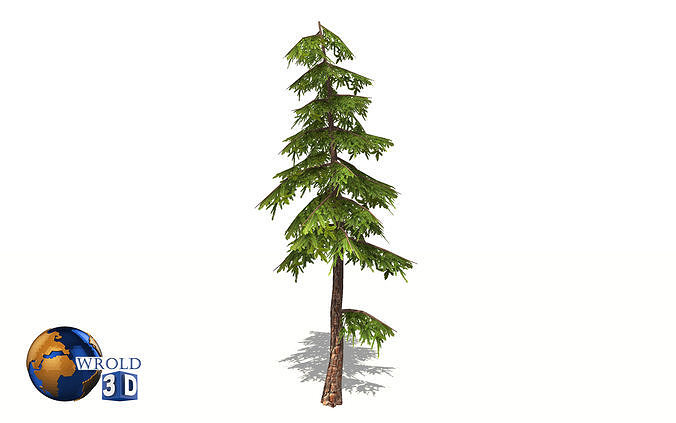Natural Forest Pine Tree 3d model Low-poly 3D model