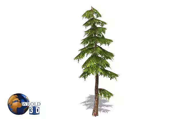 Natural Forest Pine Tree 3d model Low-poly 3D model