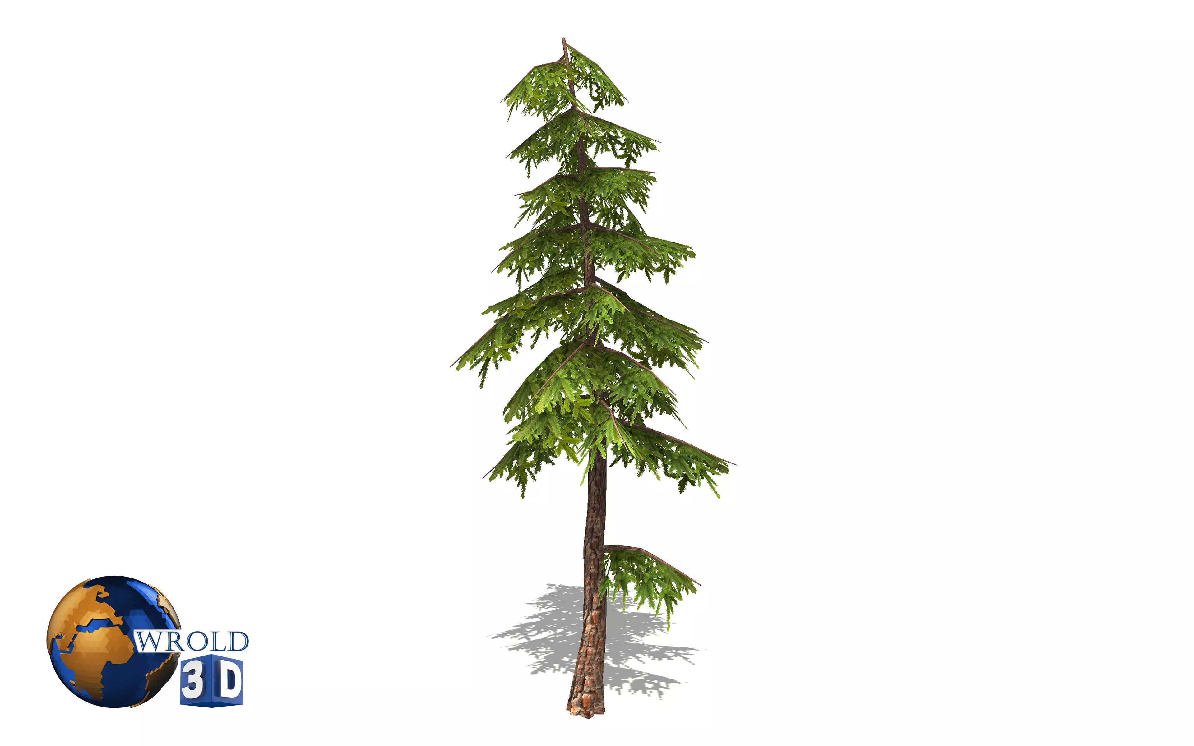 Natural Forest Pine Tree 3d model Low-poly 3D model_0