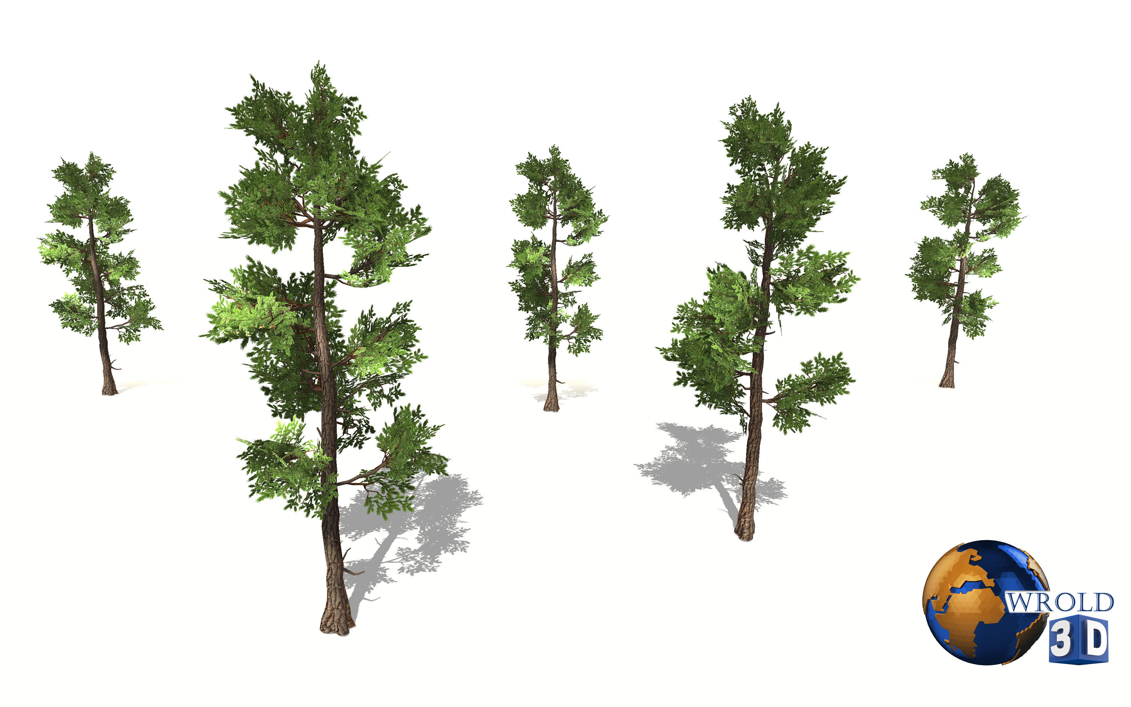 Fir tree lowpoly 3d model Low-poly 3D model_5