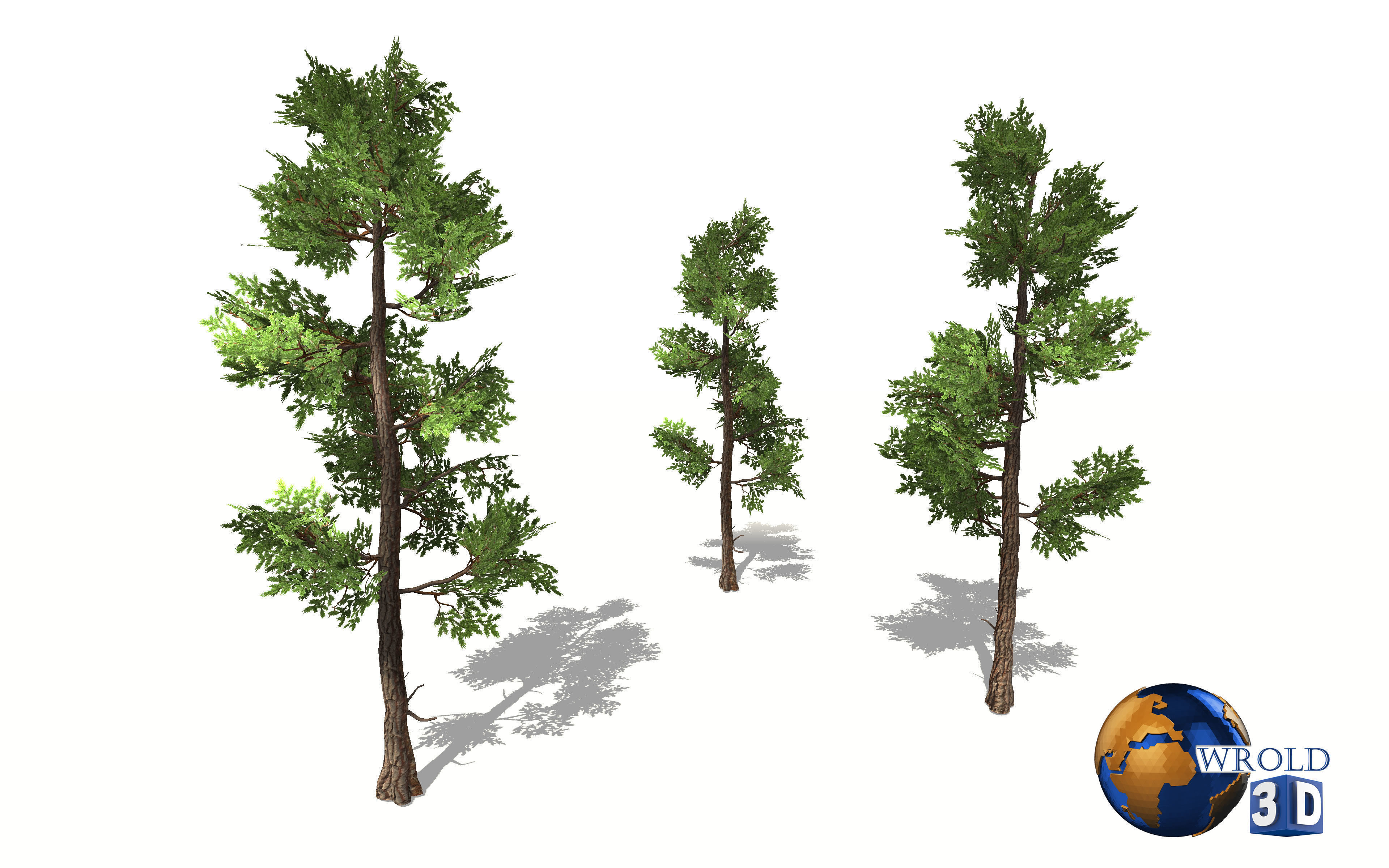 Fir tree lowpoly 3d model Low-poly 3D model_2