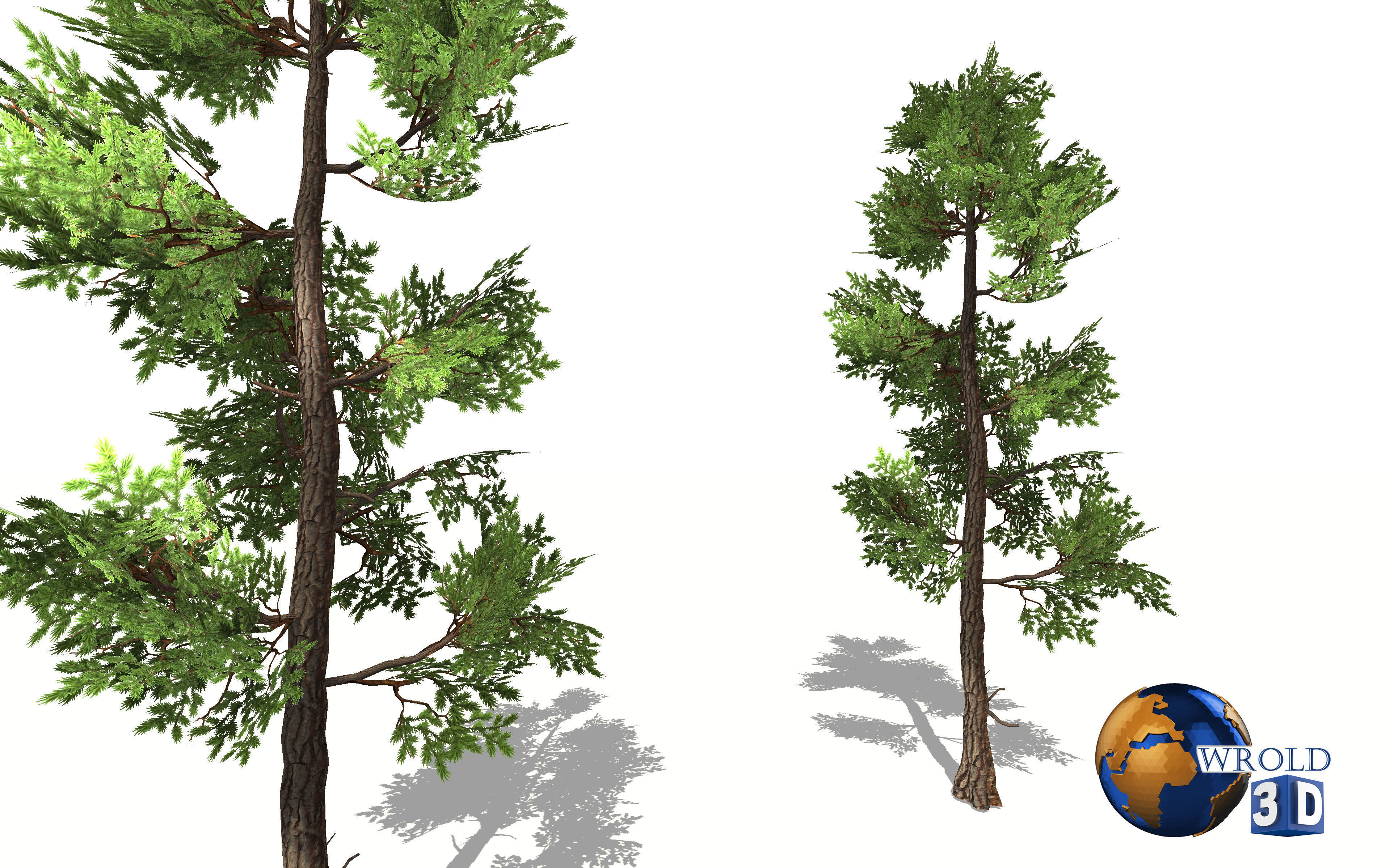Fir tree lowpoly 3d model Low-poly 3D model_1