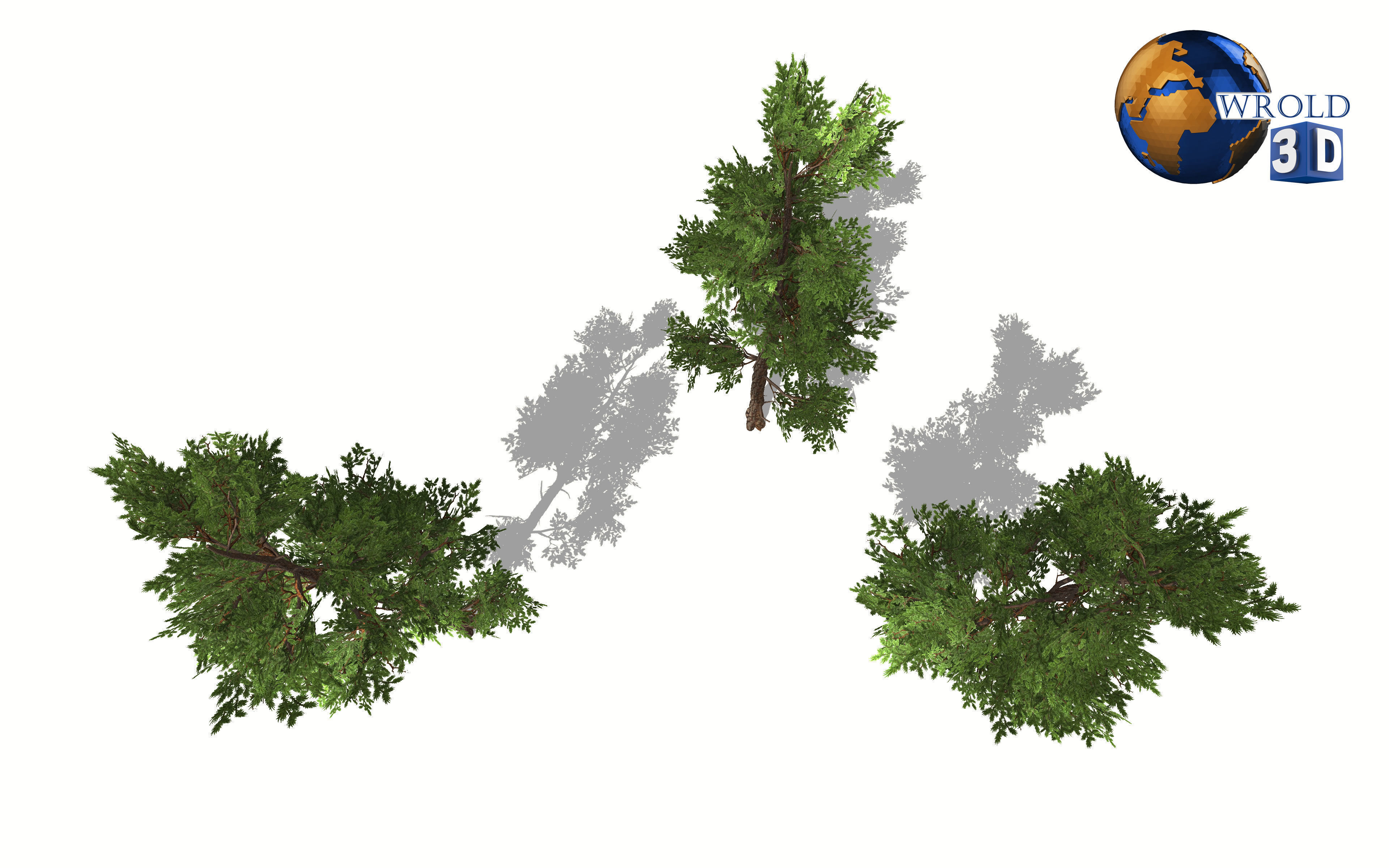 Fir tree lowpoly 3d model Low-poly 3D model_3