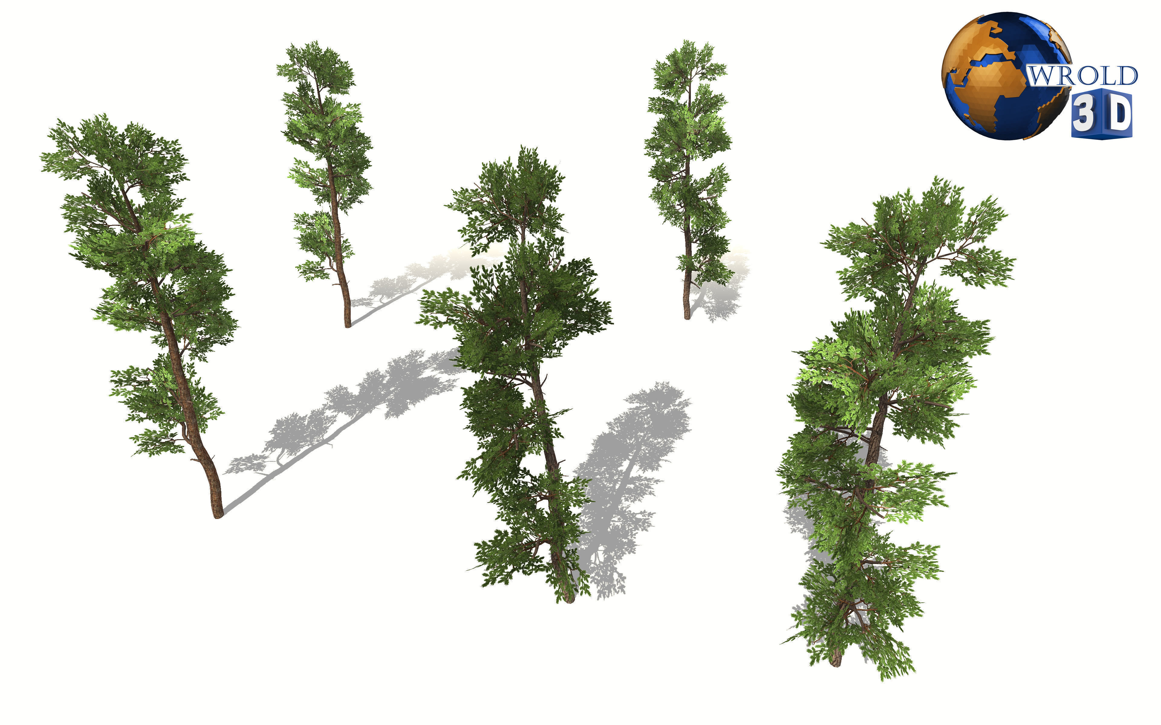 Cedar tree lowpoly 3d model Low-poly 3D model_4