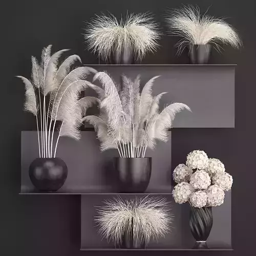 Collection of dried flowers in vases 91 3D model