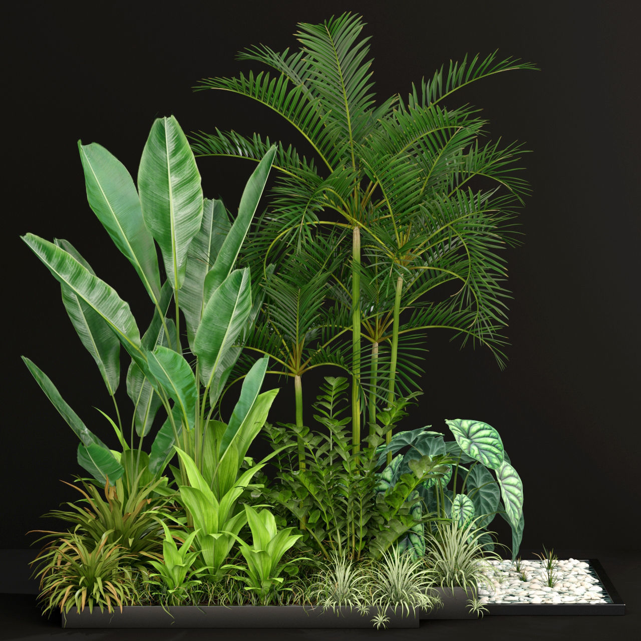 Plants collection 198 3D model_1