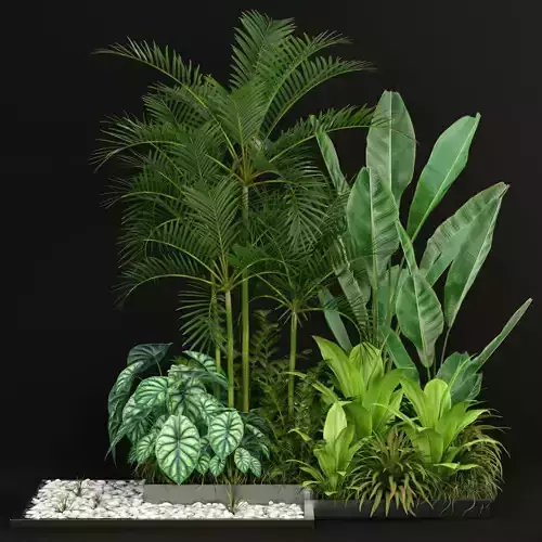 Plants collection 198 3D model