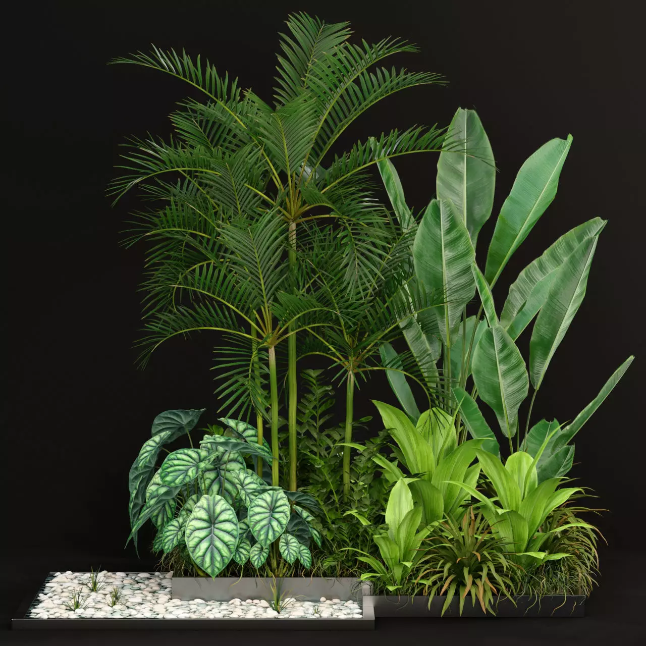 Plants collection 198 3D model_0