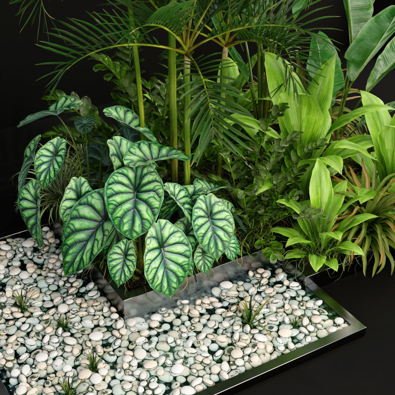 Plants collection 198 3D model_2