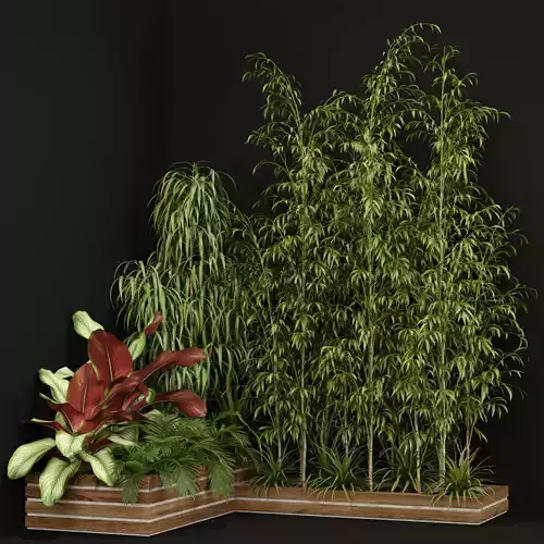 Plants collection 201 3D model
