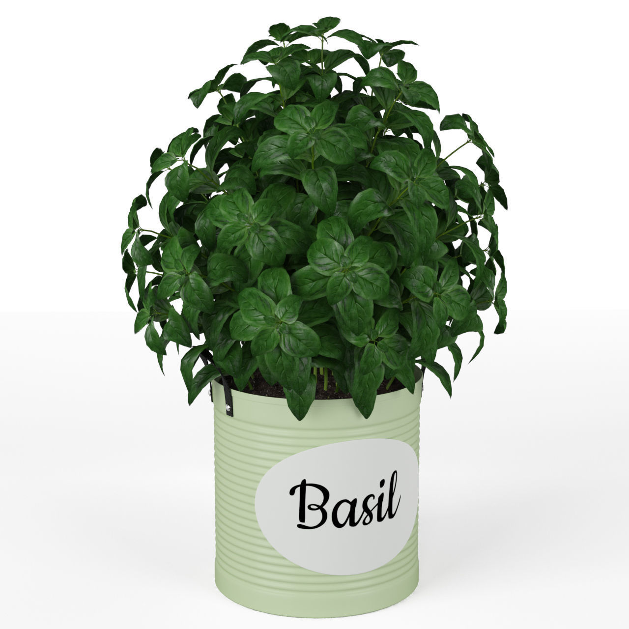 Plants collection 202 3D model_3