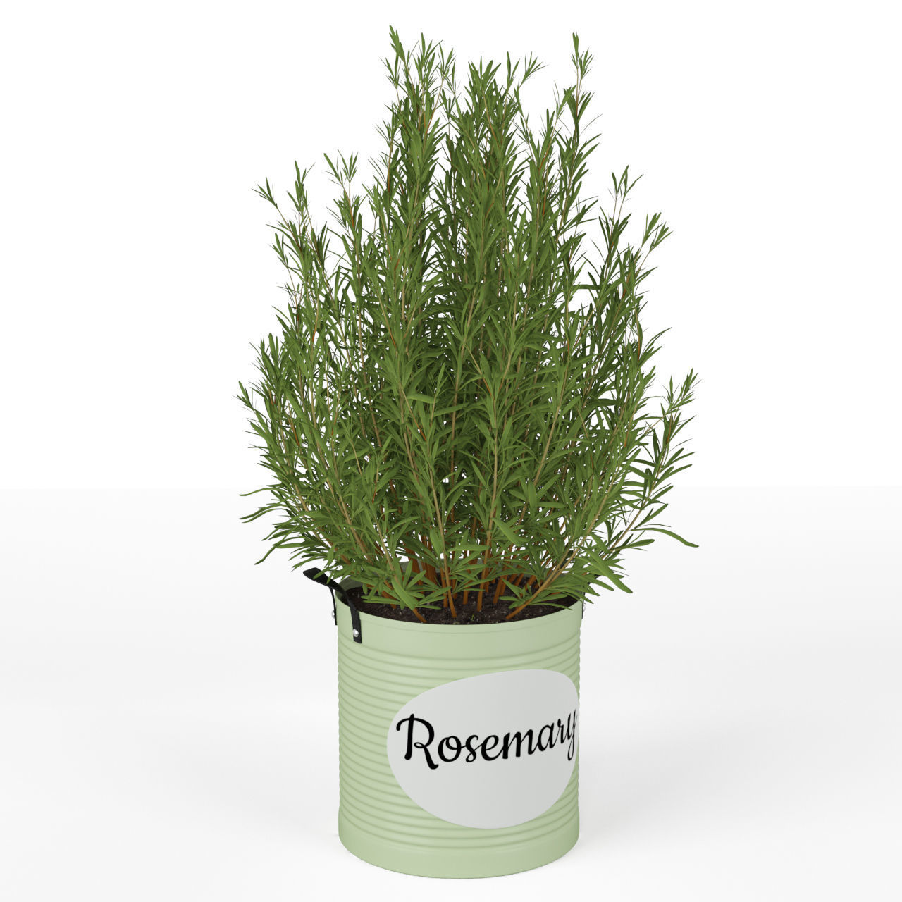 Plants collection 202 3D model_6