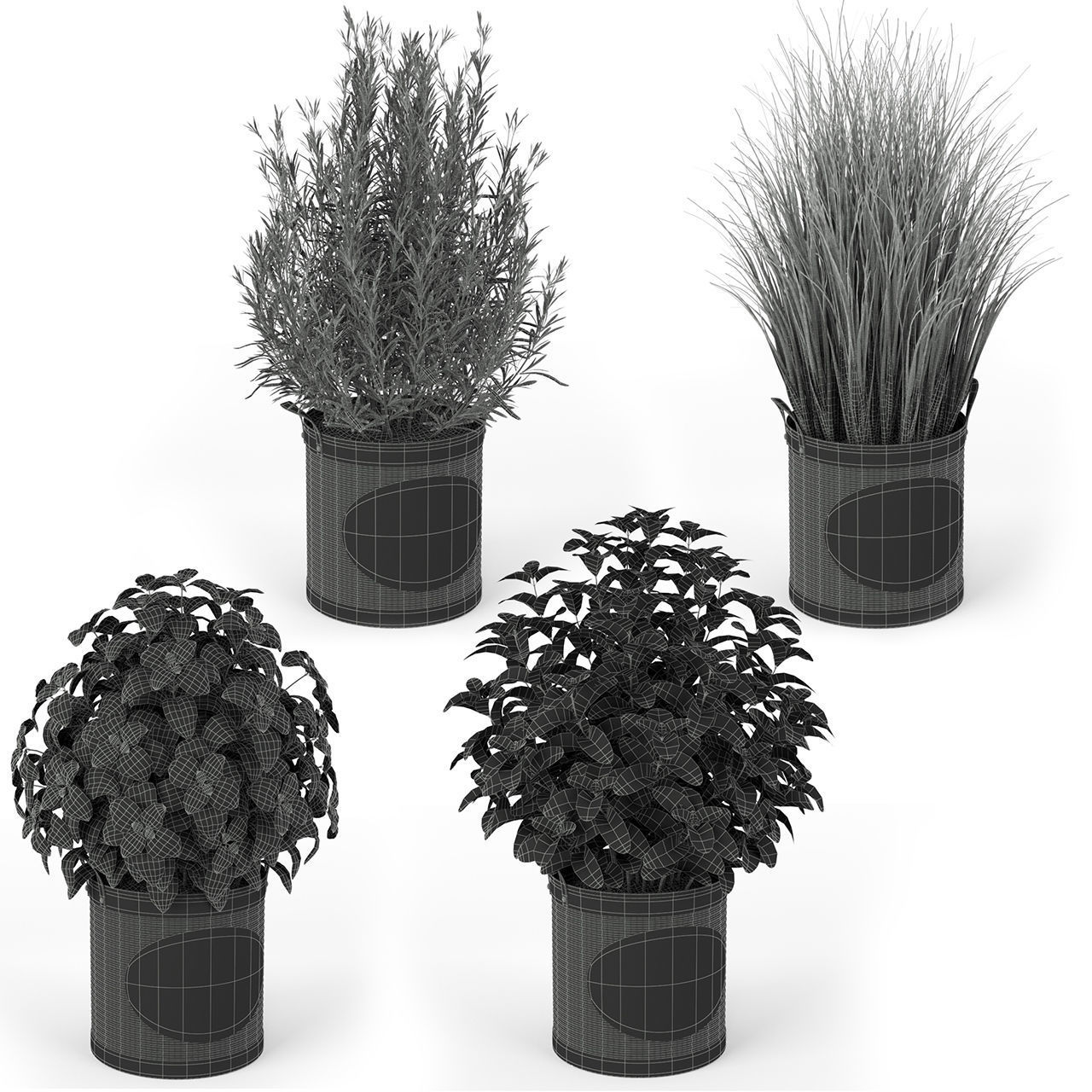 Plants collection 202 3D model_2