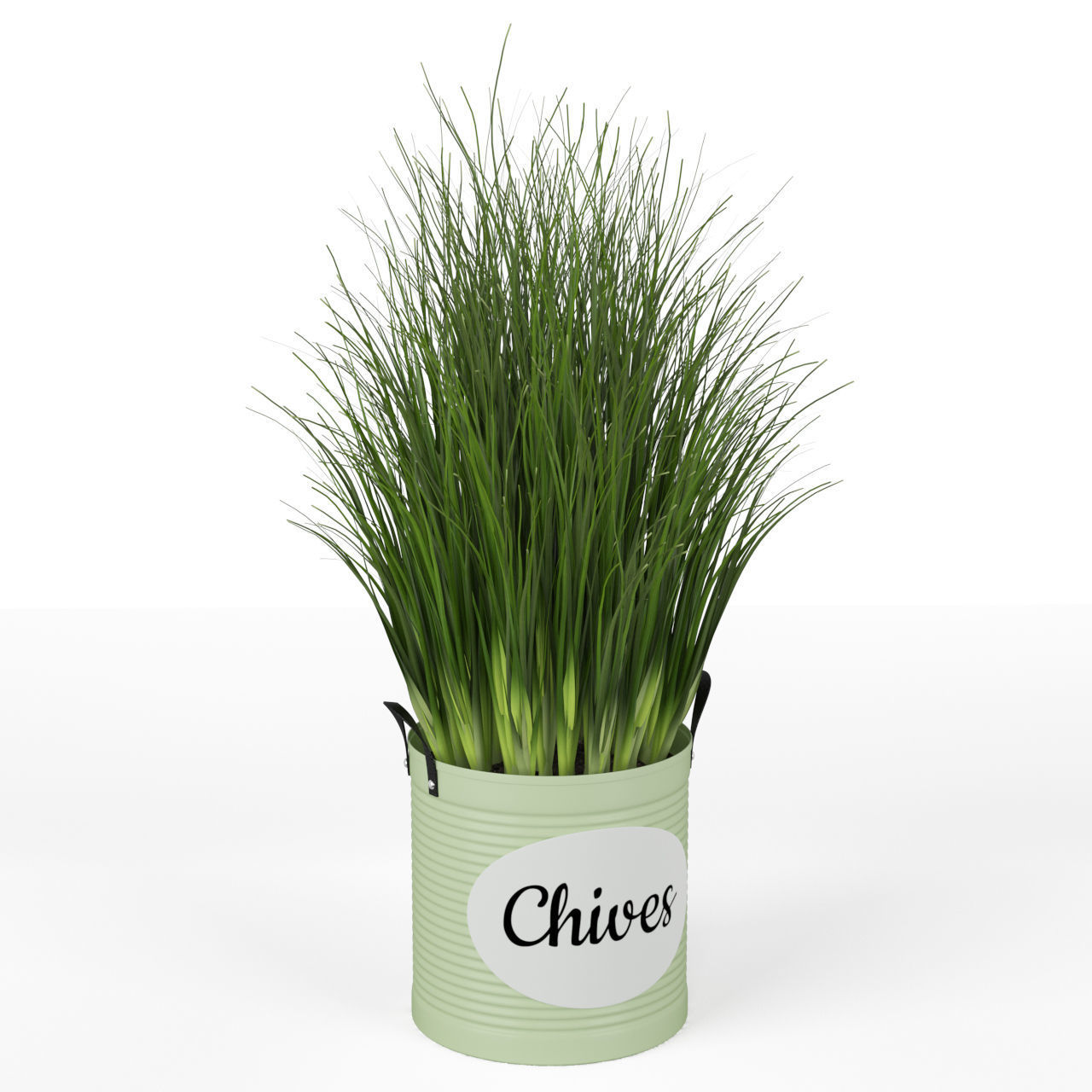 Plants collection 202 3D model_5