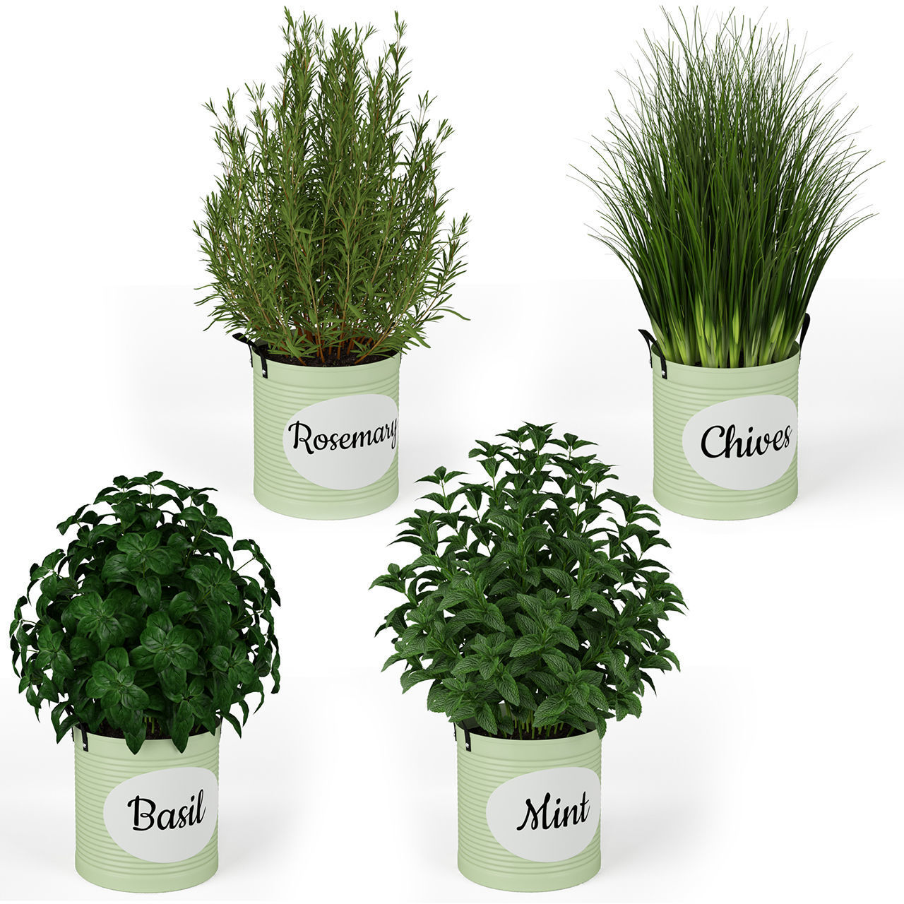 Plants collection 202 3D model_1