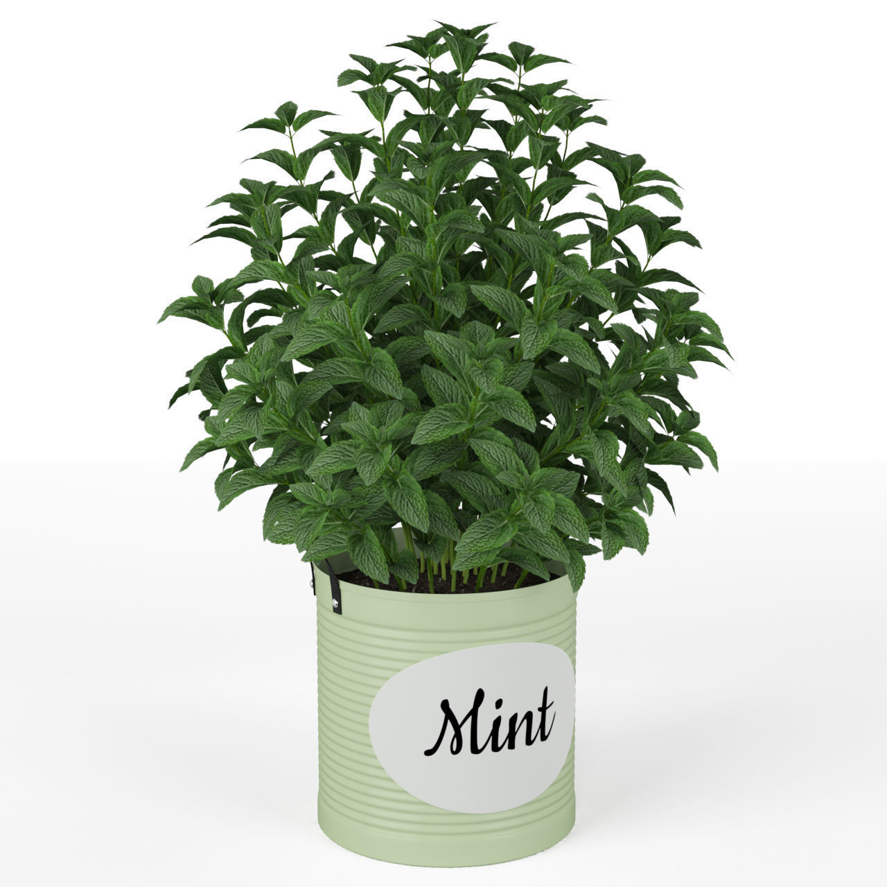 Plants collection 202 3D model_4
