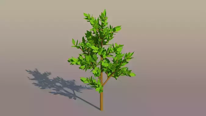 Minimalistic tree 3D model