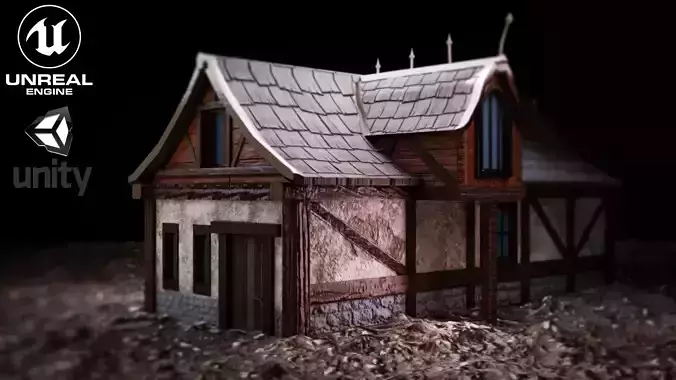 Medieval fantasy house