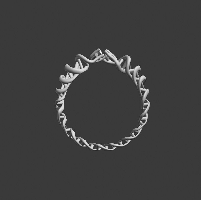 DNA ring 3D print model
