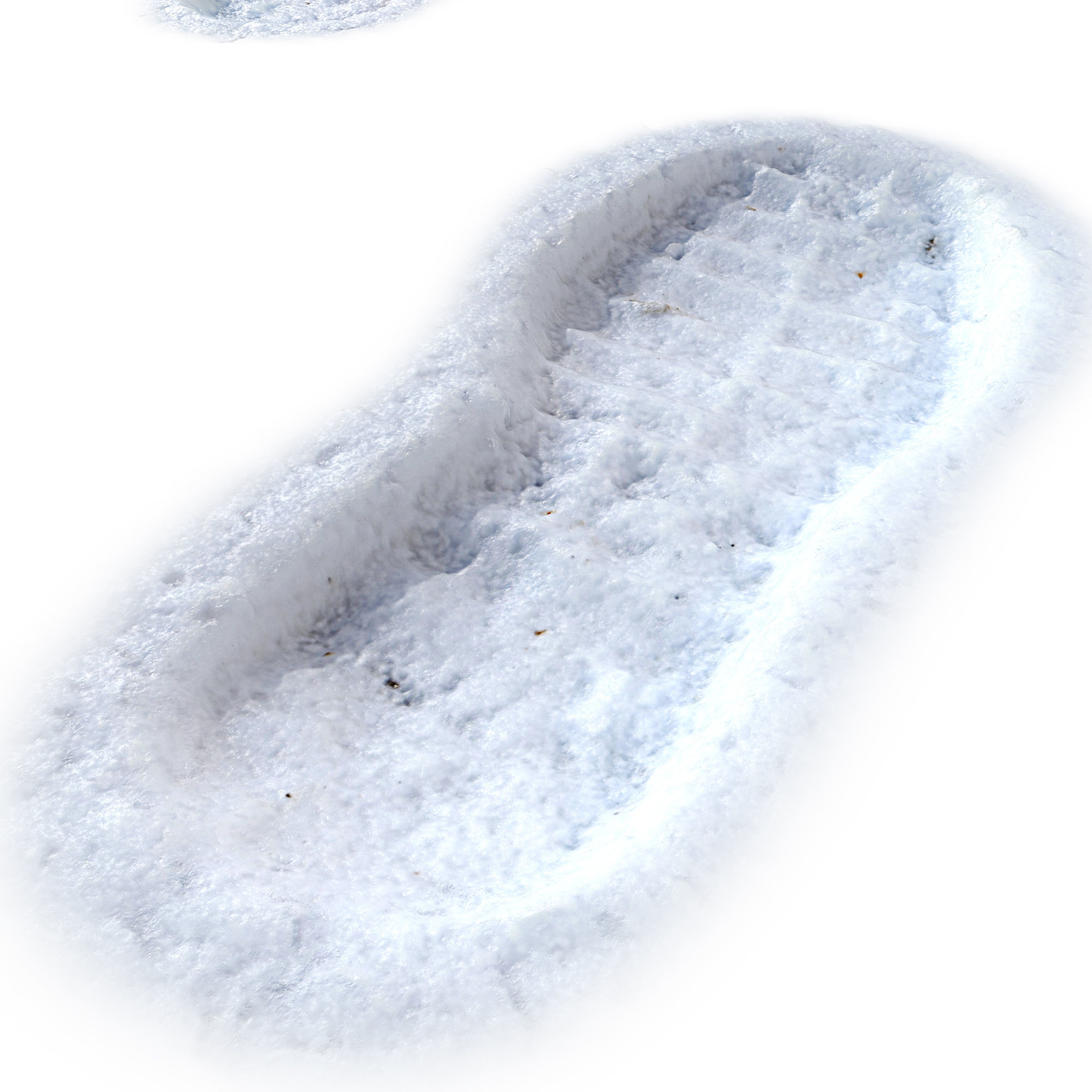 Prints in the snow 3D model_2