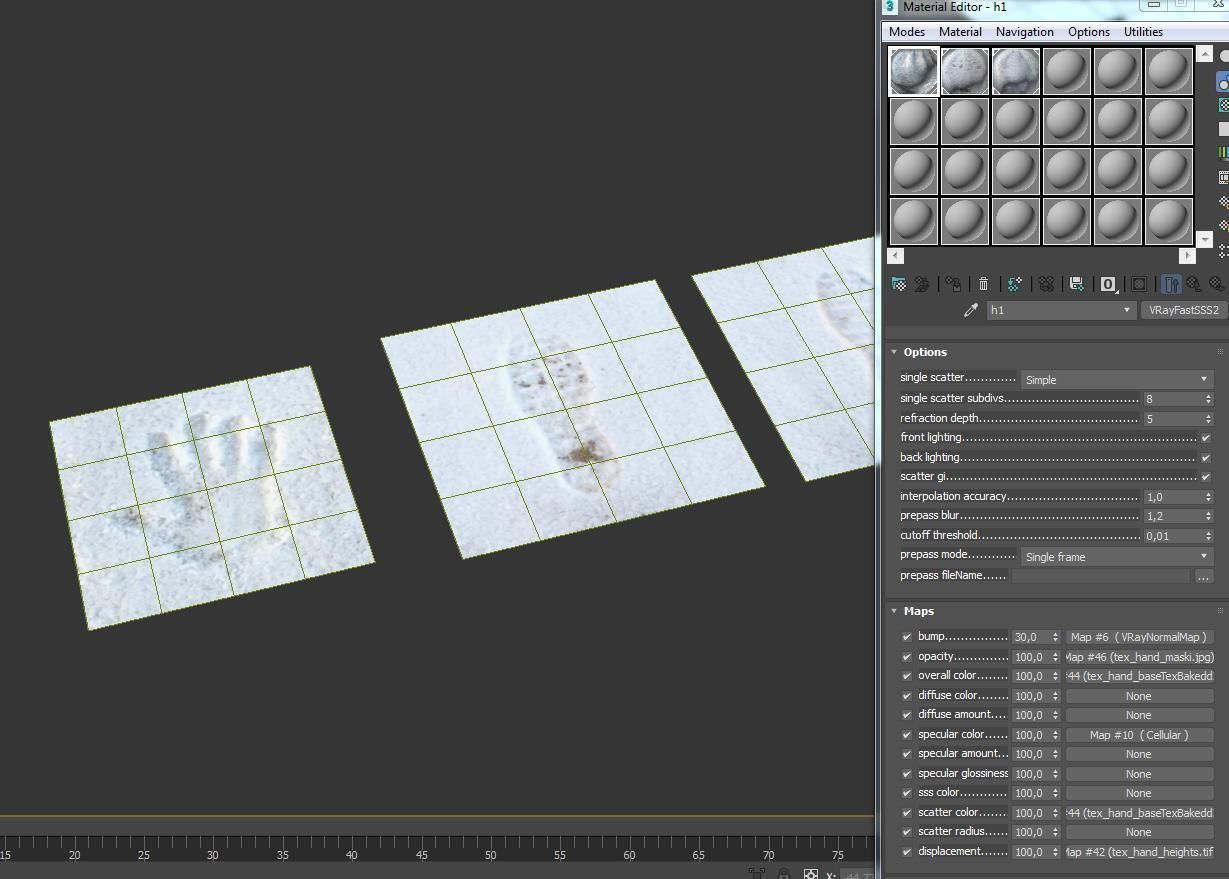 Prints in the snow 3D model_6
