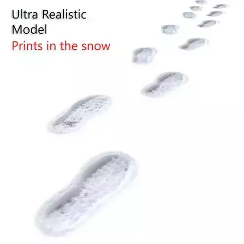 Prints in the snow 3D model