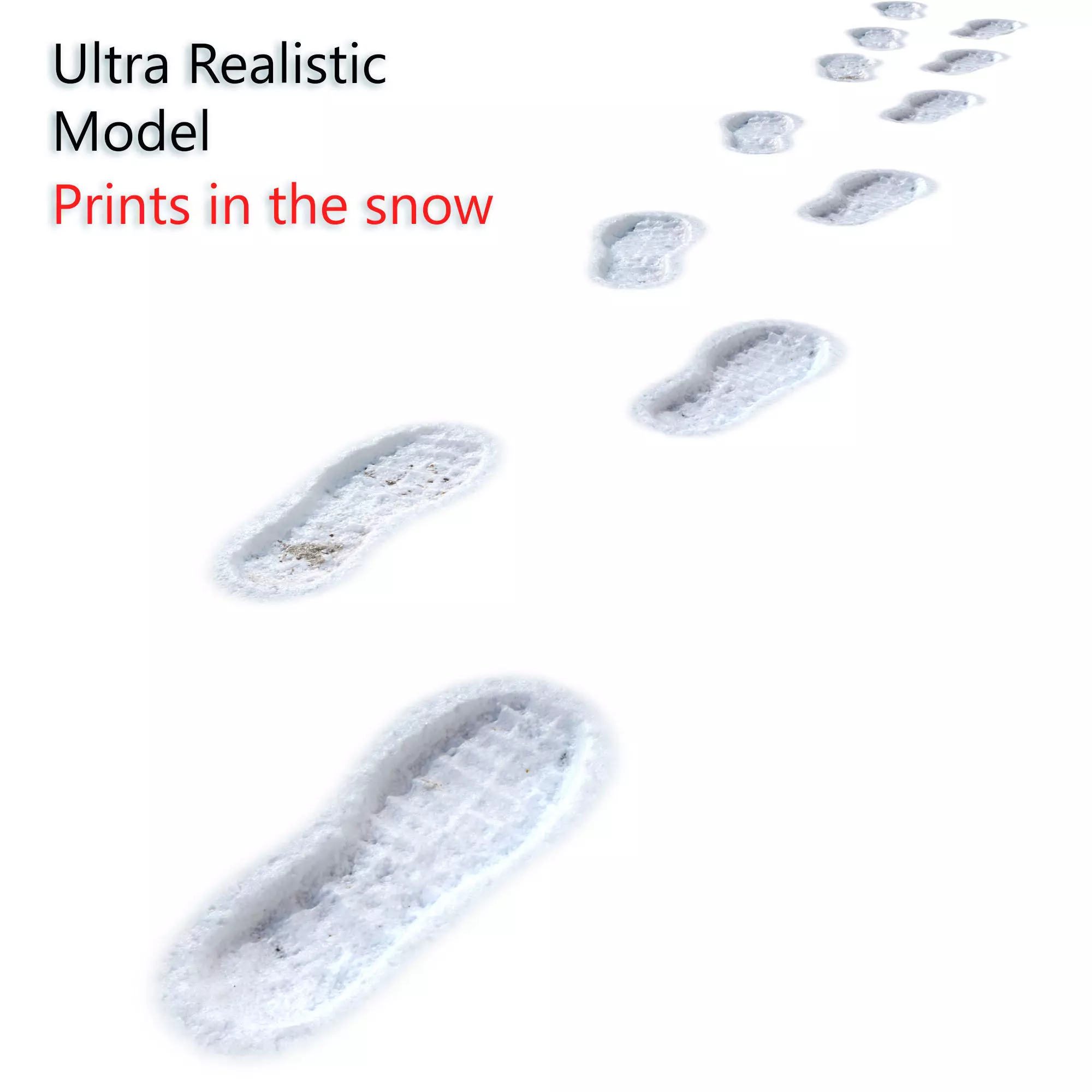 Prints in the snow 3D model_0