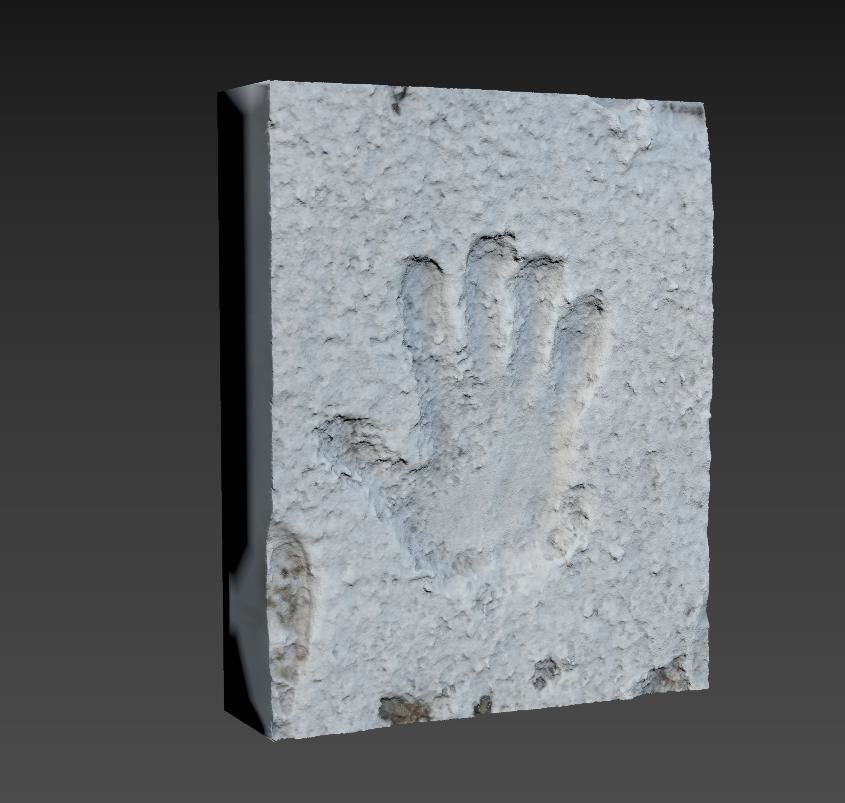 Prints in the snow 3D model_10