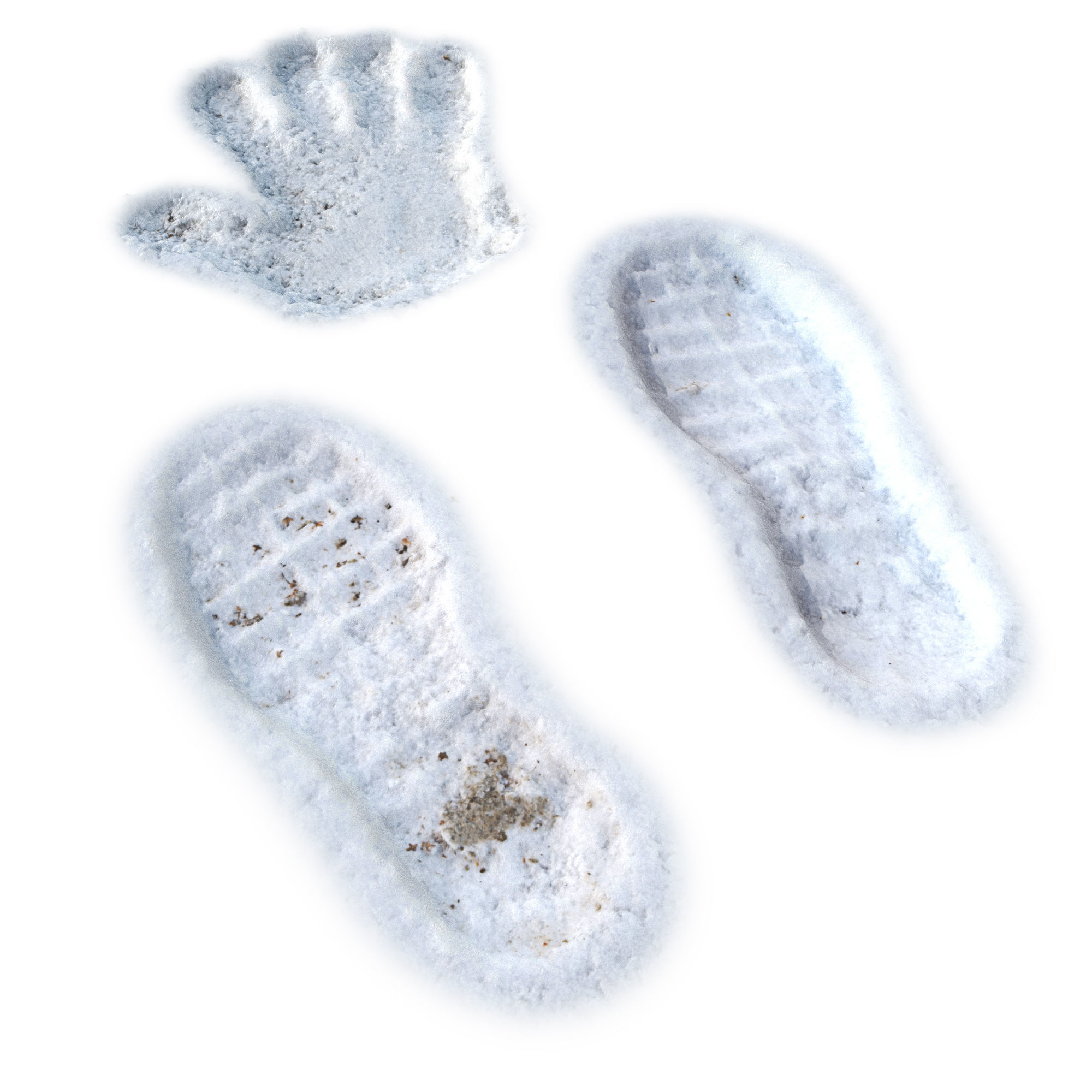 Prints in the snow 3D model_1