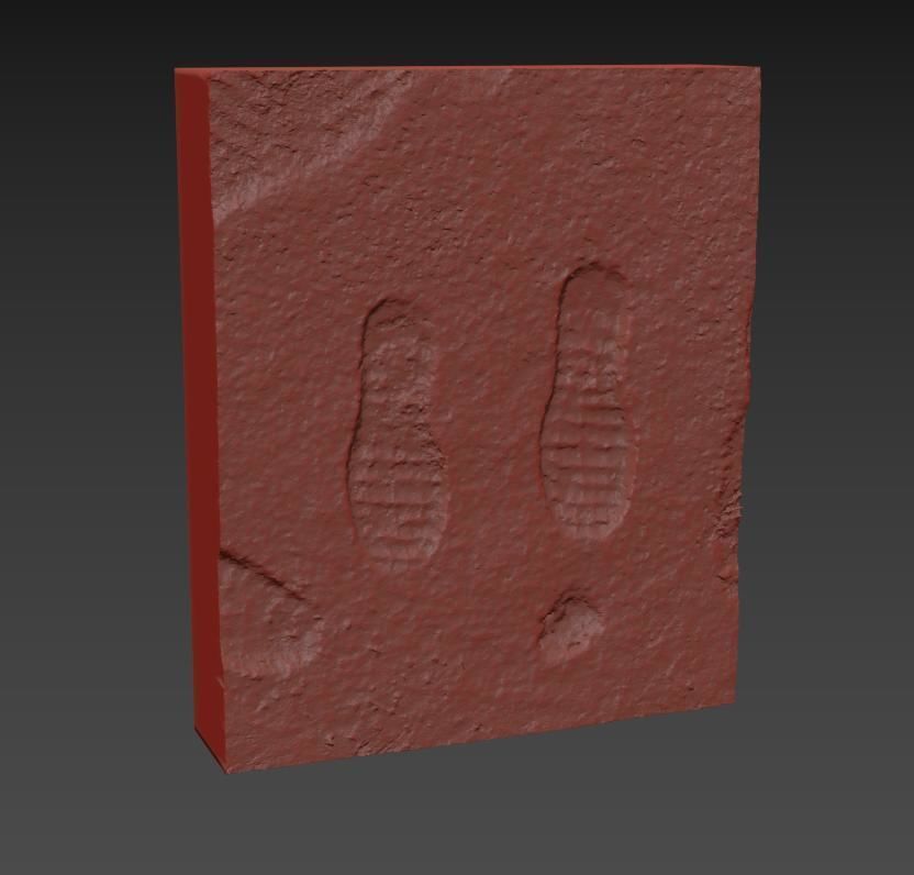 Prints in the snow 3D model_8