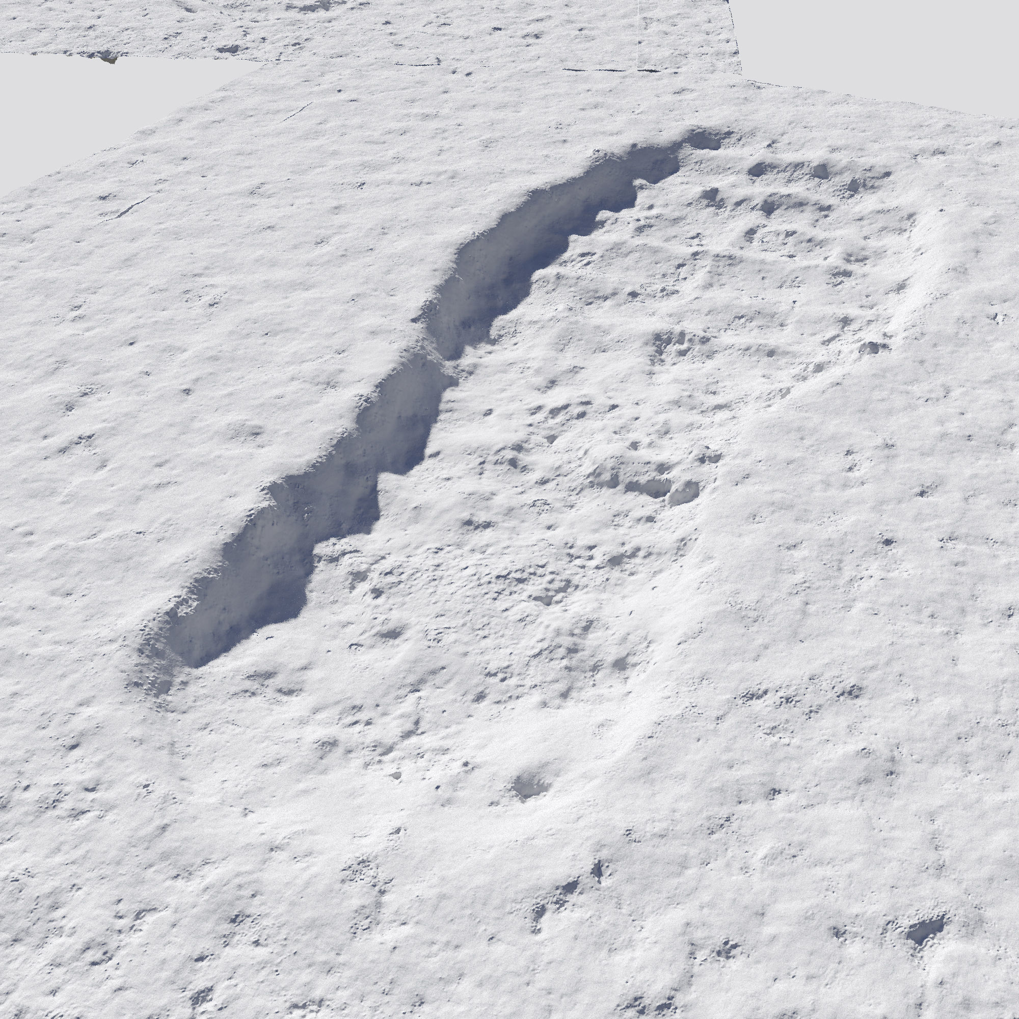 Prints in the snow 3D model_3