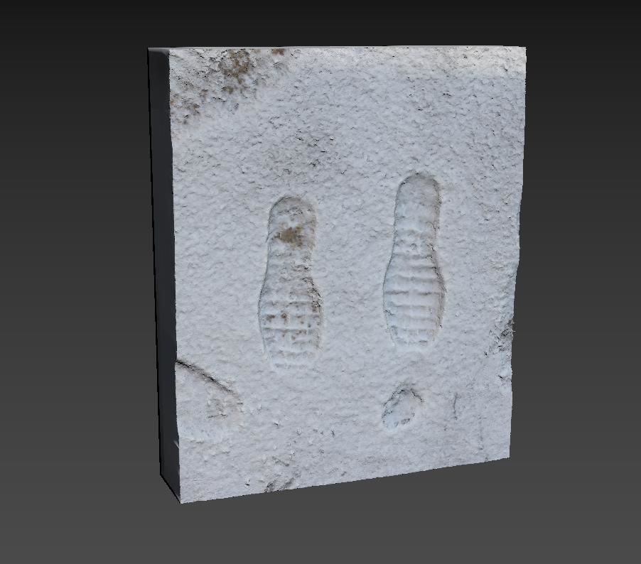 Prints in the snow 3D model_7