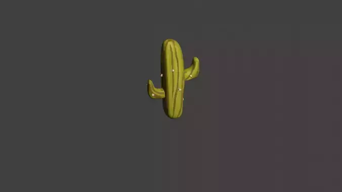 Stylized Cactus Plant