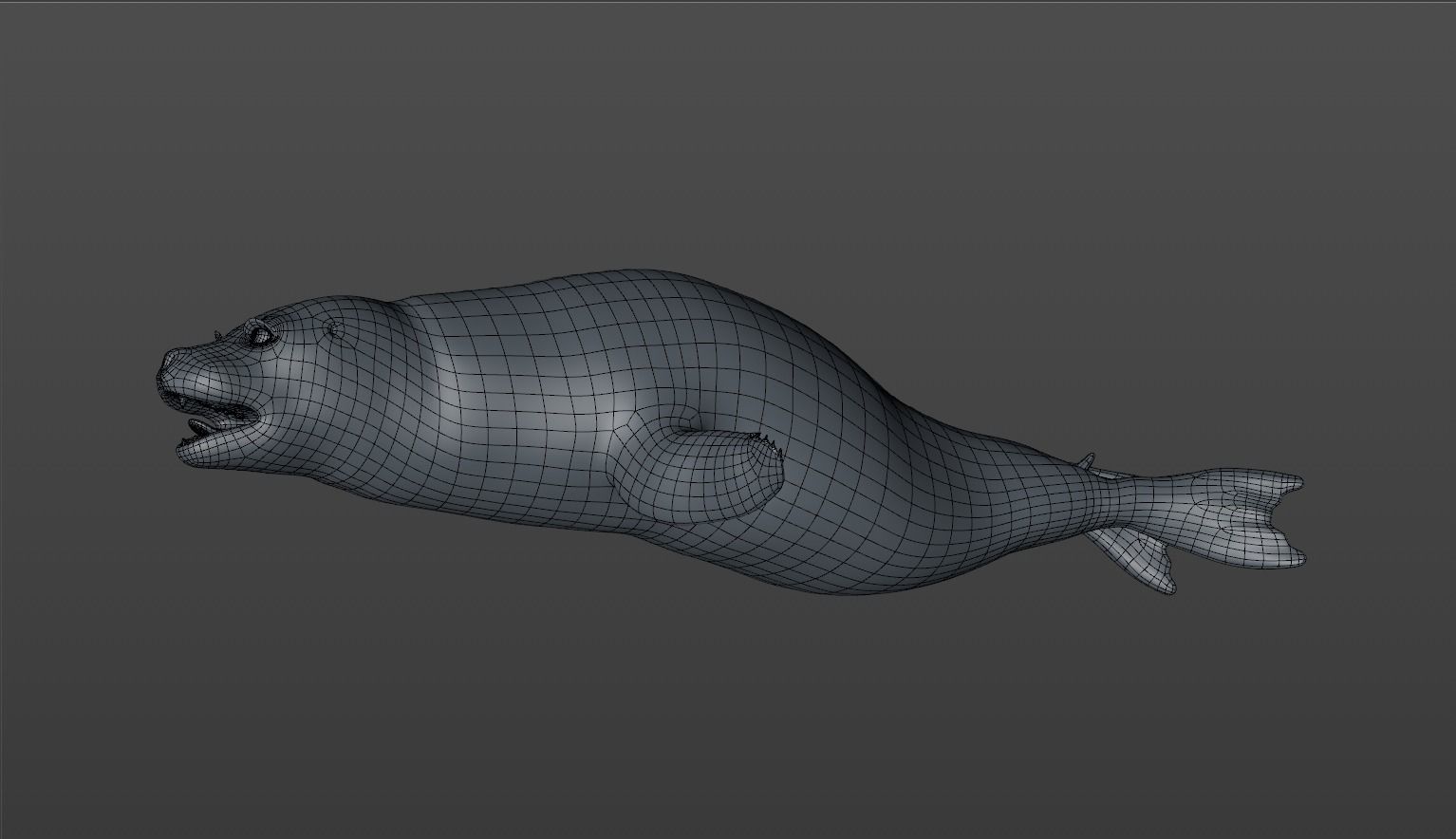 Common Seal 3D model_14